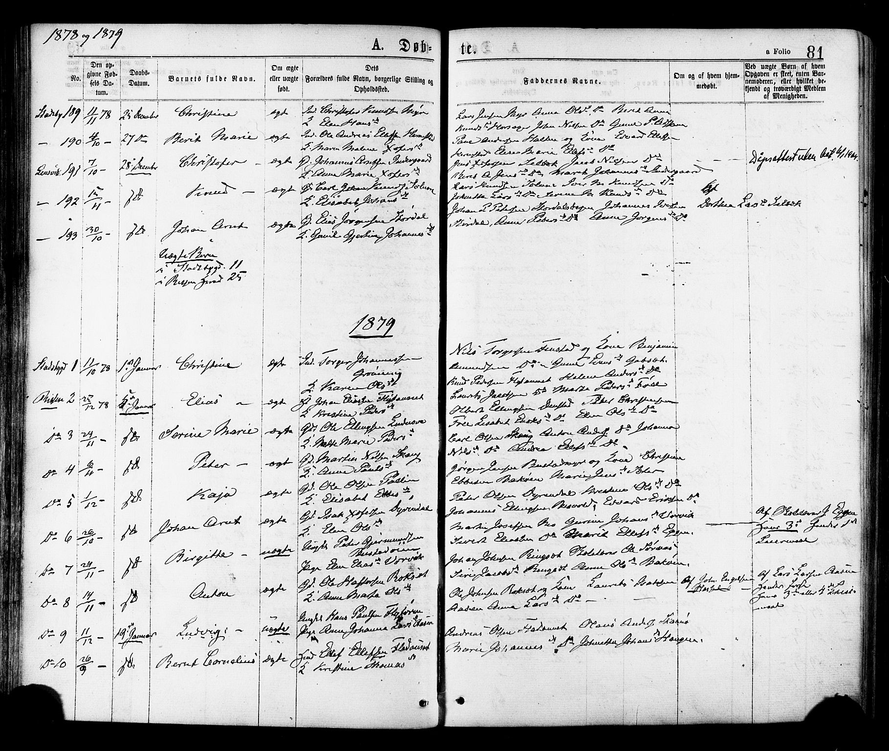 Ministerialprotokoller, klokkerbøker og fødselsregistre - Sør-Trøndelag, SAT/A-1456/646/L0613: Parish register (official) no. 646A11, 1870-1884, p. 81