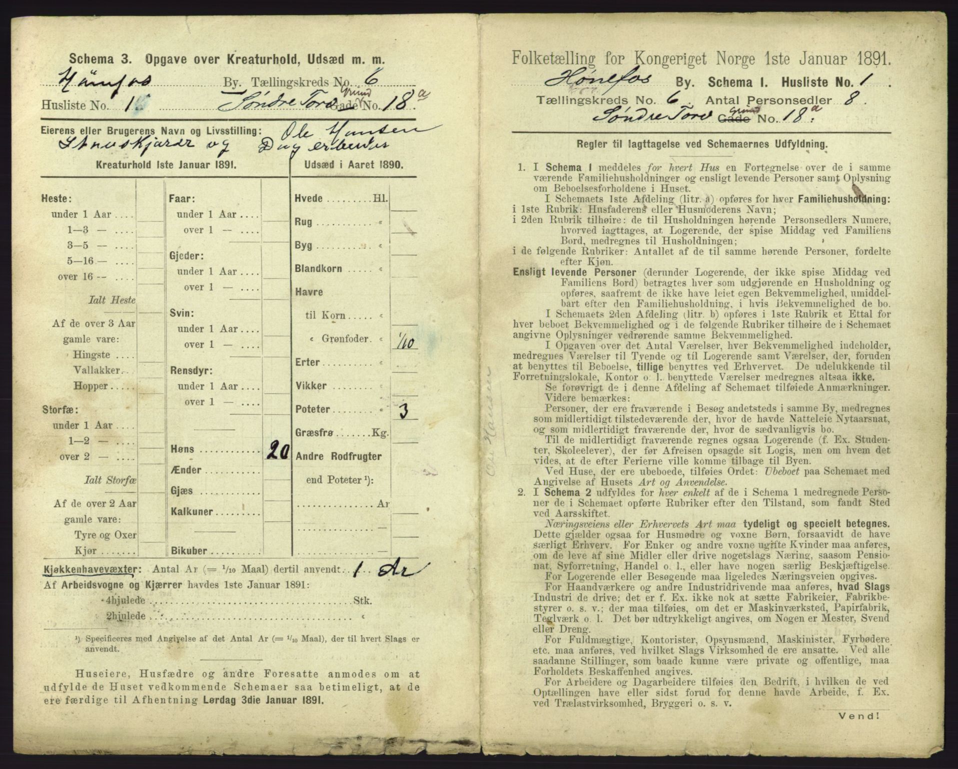 RA, 1891 census for 0601 Hønefoss, 1891, p. 171