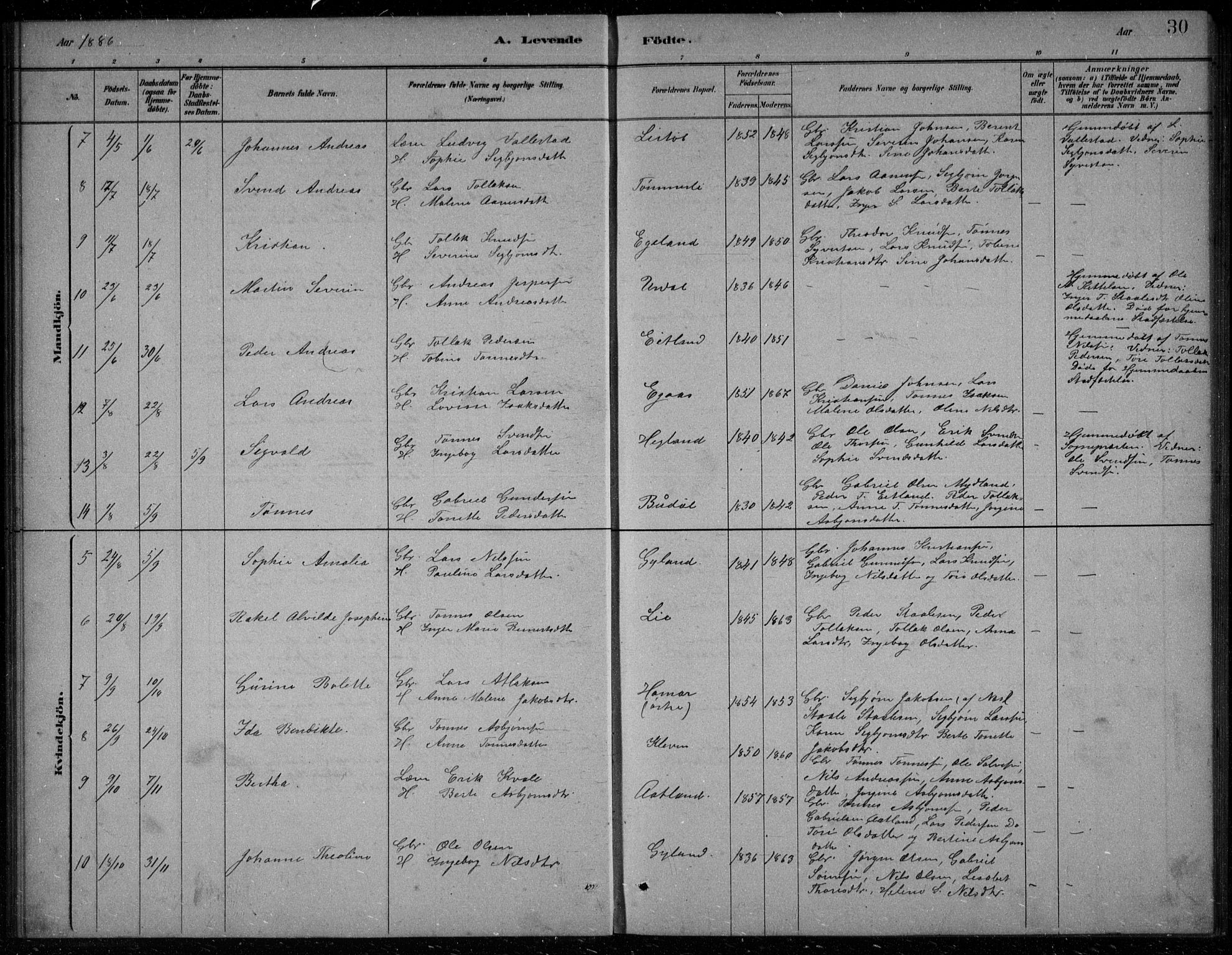 Bakke sokneprestkontor, AV/SAK-1111-0002/F/Fb/Fbb/L0003: Parish register (copy) no. B 3, 1878-1896, p. 30