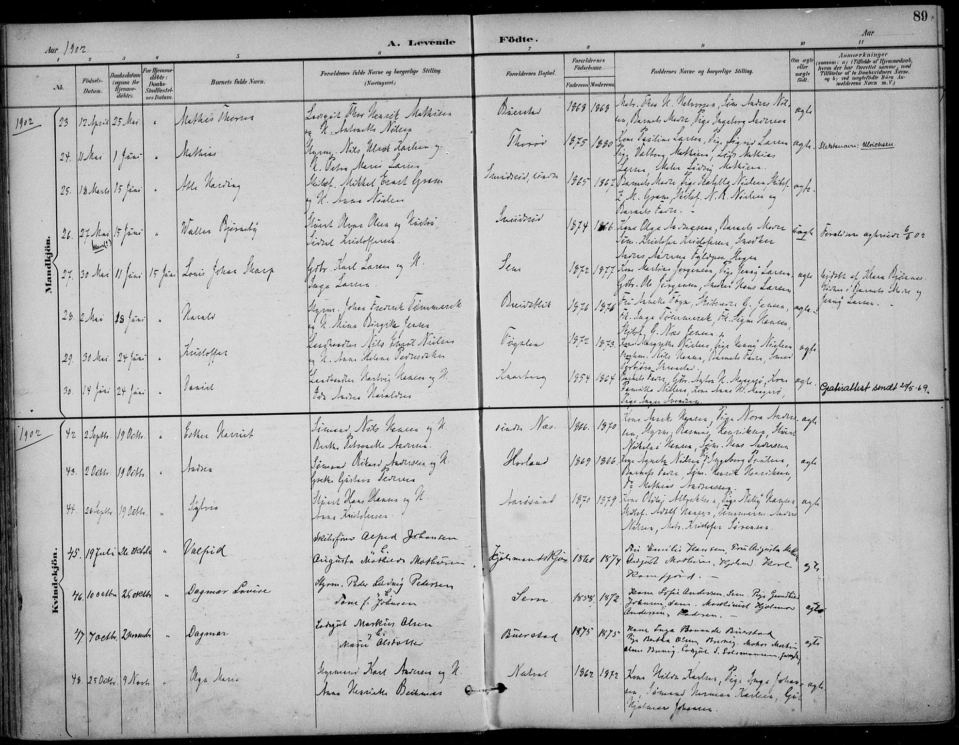 Nøtterøy kirkebøker, AV/SAKO-A-354/F/Fa/L0009: Parish register (official) no. I 9, 1894-1907, p. 89