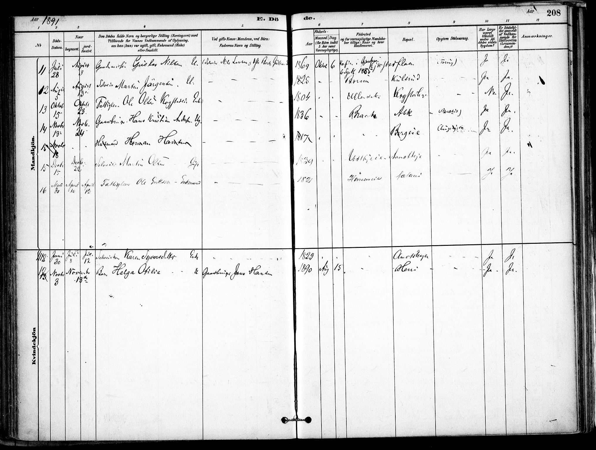 Gjerdrum prestekontor Kirkebøker, SAO/A-10412b/F/Fb/L0001: Parish register (official) no. II 1, 1881-1921, p. 208