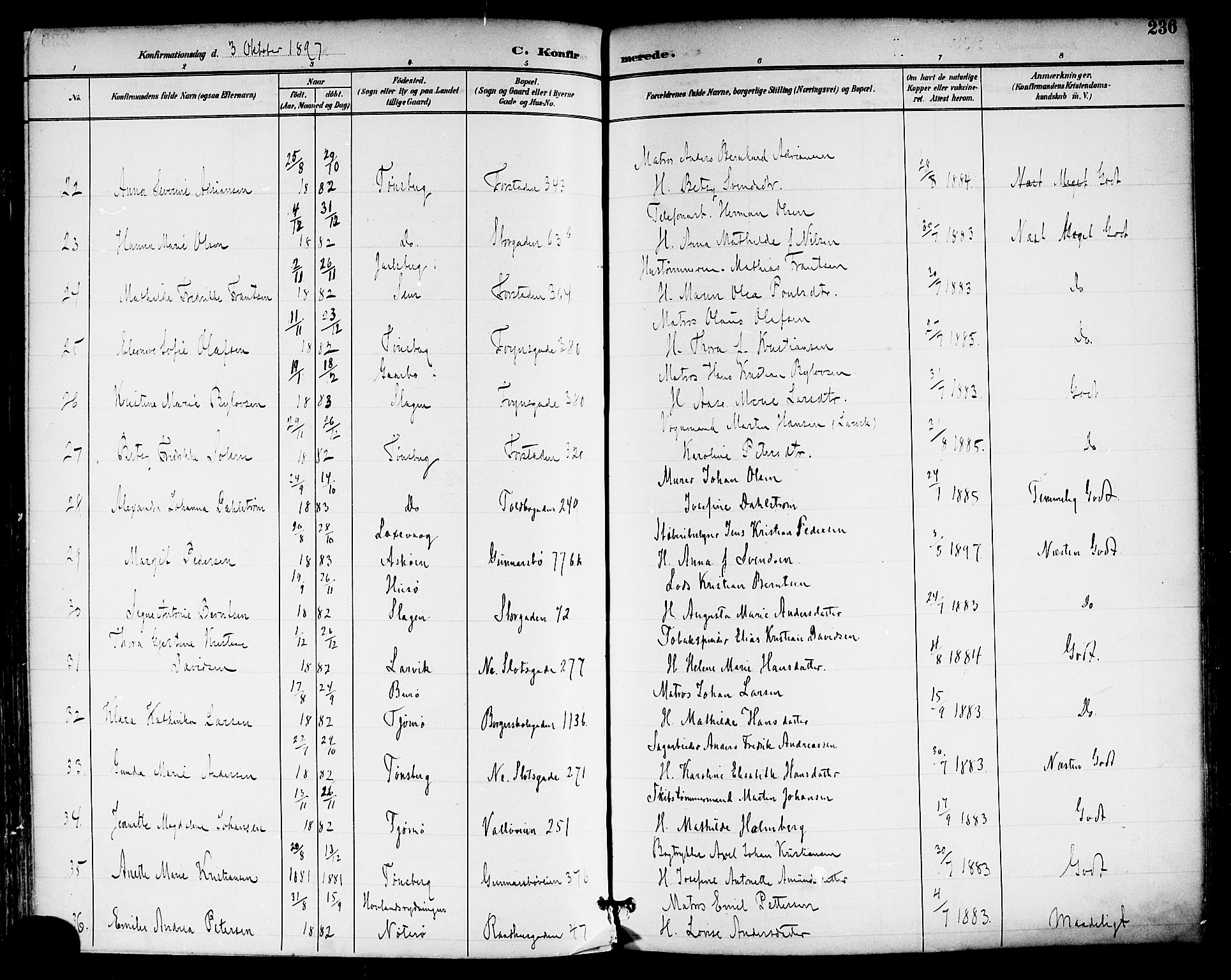 Tønsberg kirkebøker, AV/SAKO-A-330/F/Fa/L0012: Parish register (official) no. I 12, 1891-1899, p. 236