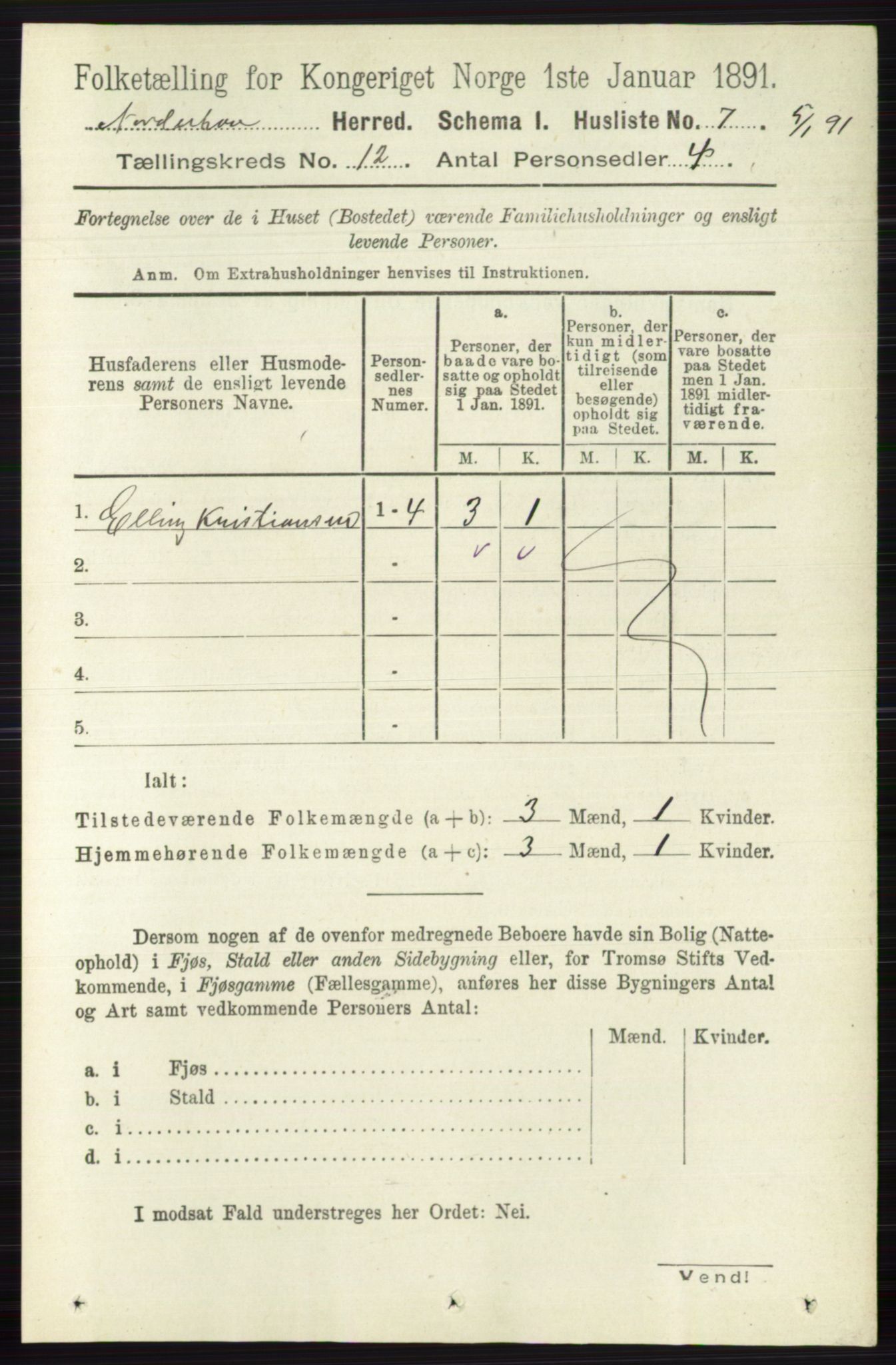 RA, 1891 census for 0613 Norderhov, 1891, p. 8494