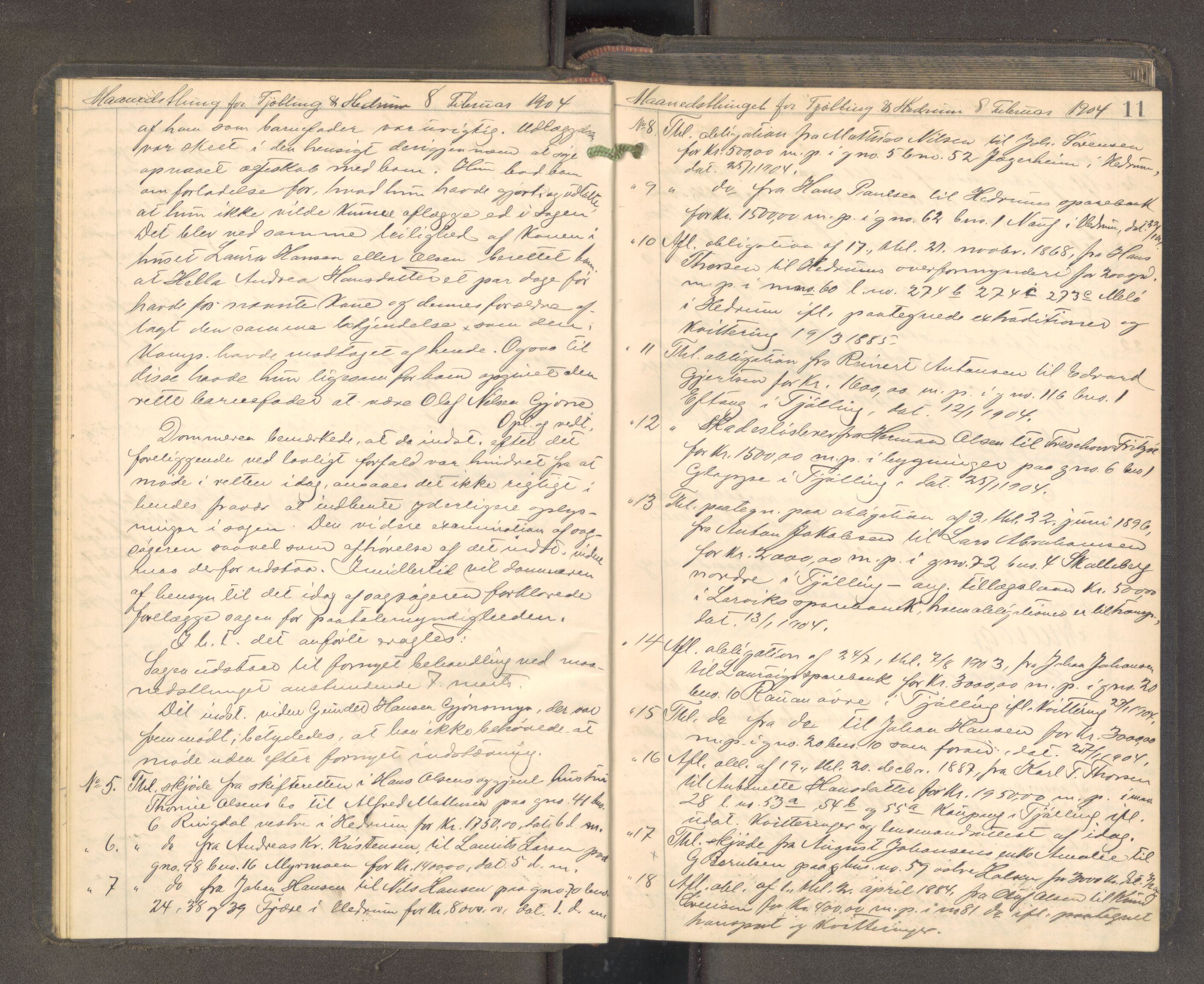 Larvik sorenskriveri, AV/SAKO-A-83/F/Fa/L0057: Tingbok, 1904-1905, p. 10b-11a