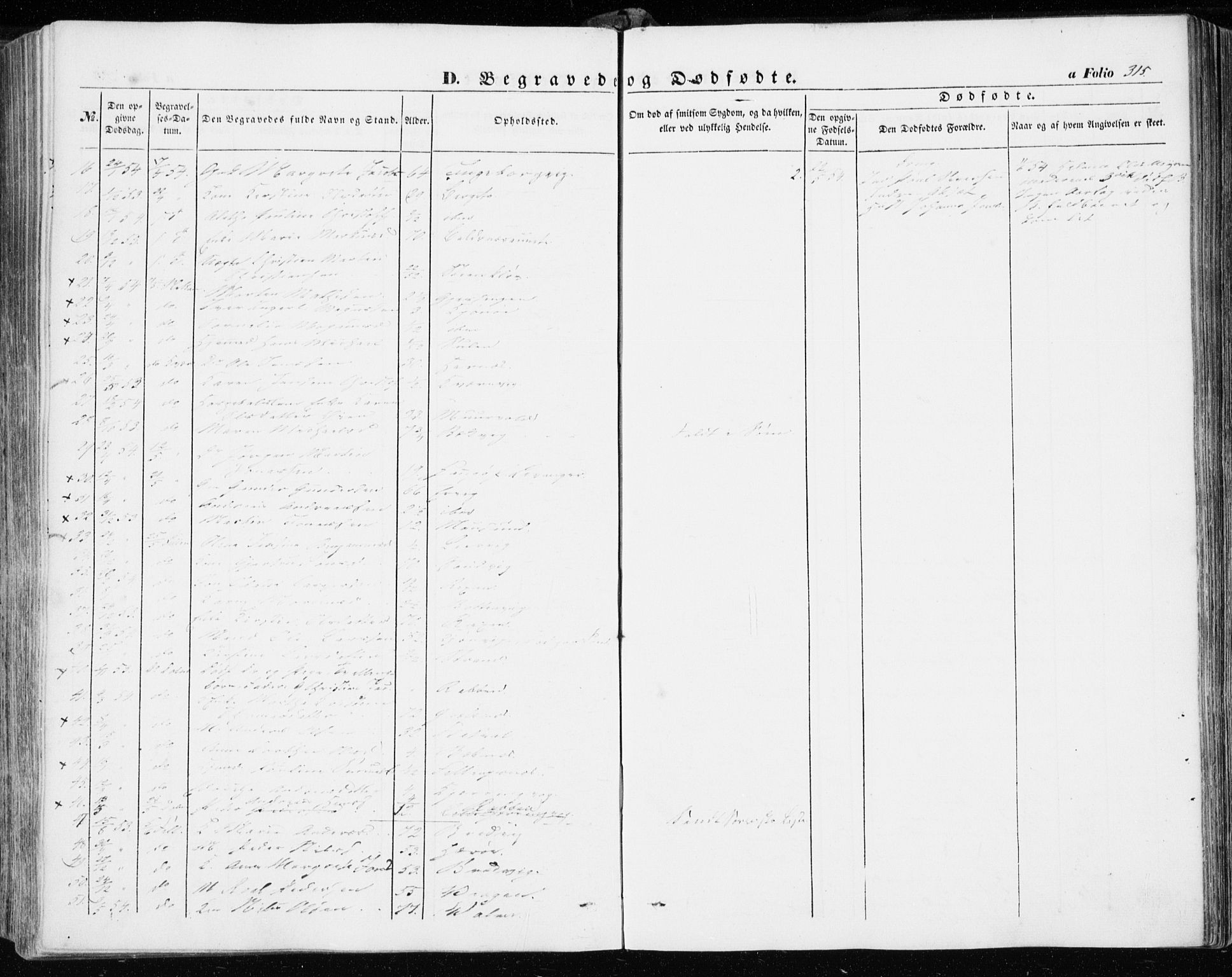 Ministerialprotokoller, klokkerbøker og fødselsregistre - Sør-Trøndelag, AV/SAT-A-1456/634/L0530: Parish register (official) no. 634A06, 1852-1860, p. 315