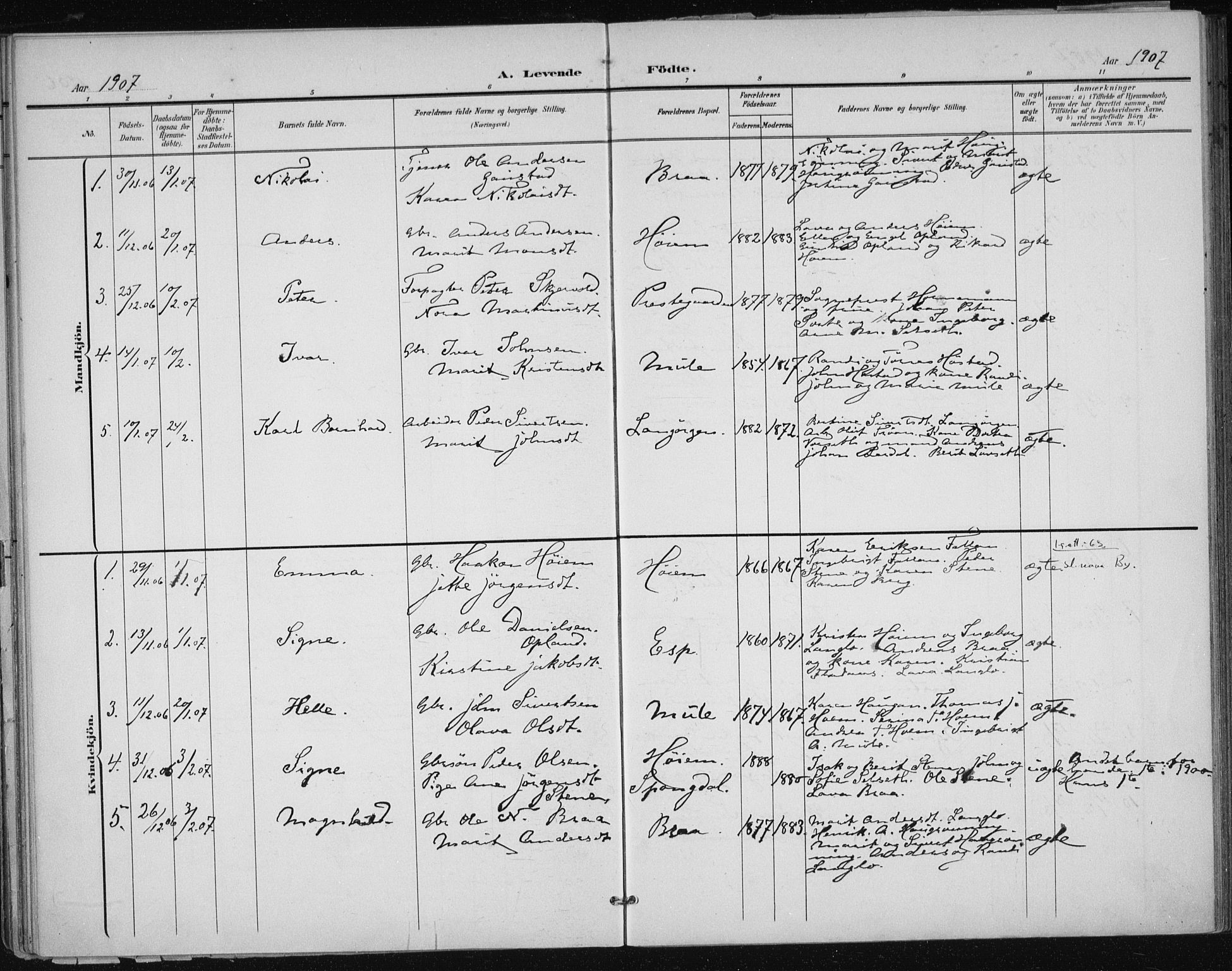 Ministerialprotokoller, klokkerbøker og fødselsregistre - Sør-Trøndelag, AV/SAT-A-1456/612/L0380: Parish register (official) no. 612A12, 1898-1907