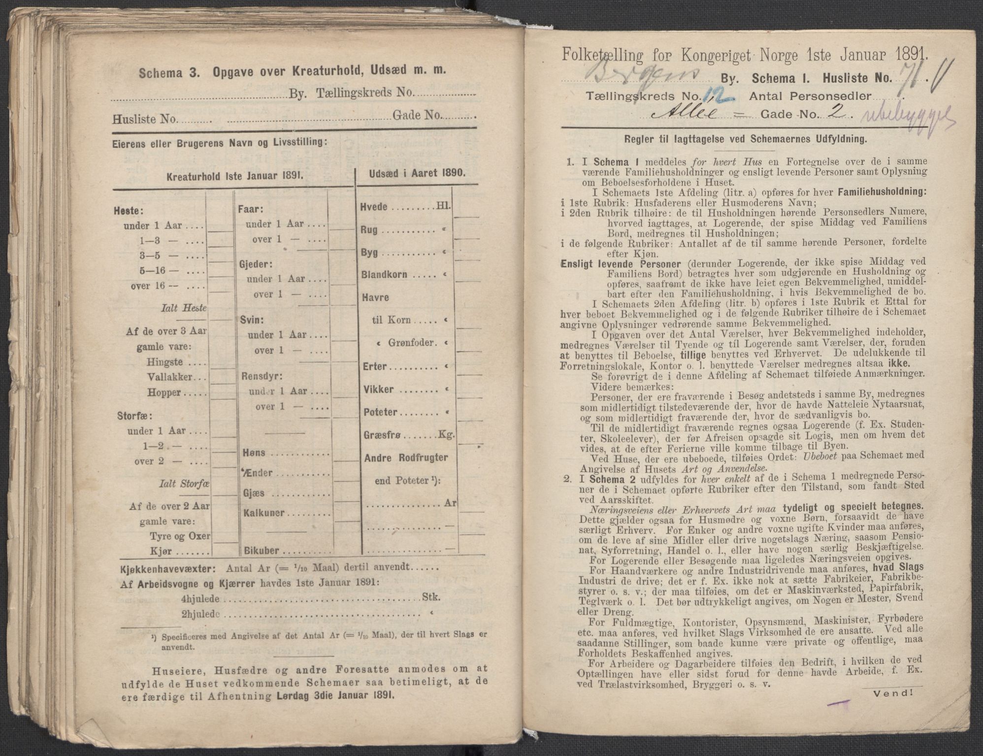 RA, 1891 Census for 1301 Bergen, 1891, p. 1997