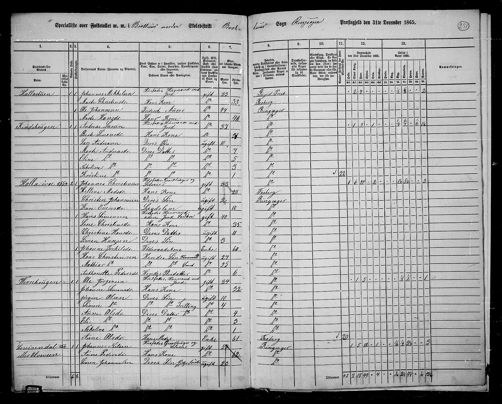 RA, 1865 census for Ringsaker, 1865, p. 485