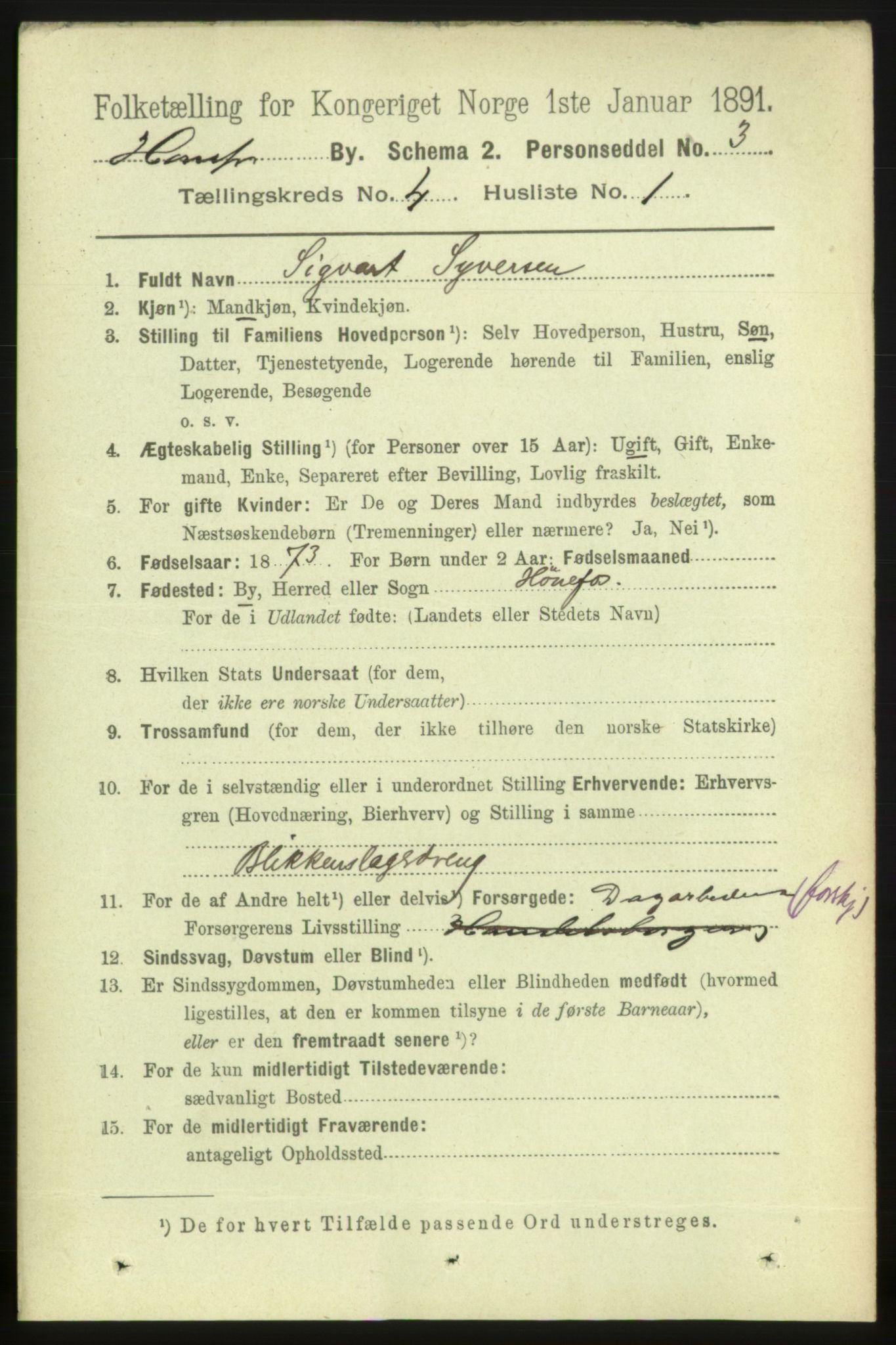 RA, 1891 census for 0601 Hønefoss, 1891, p. 789