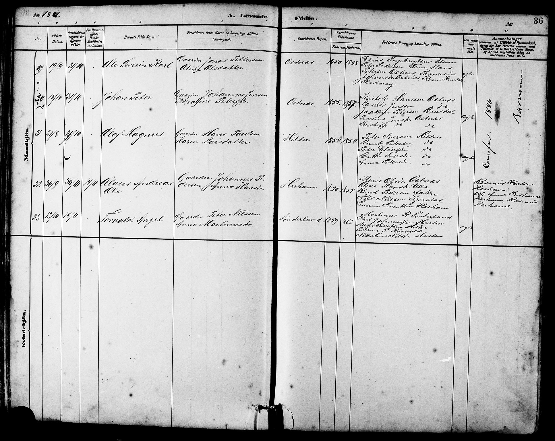 Ministerialprotokoller, klokkerbøker og fødselsregistre - Møre og Romsdal, SAT/A-1454/536/L0510: Parish register (copy) no. 536C05, 1881-1898, p. 36