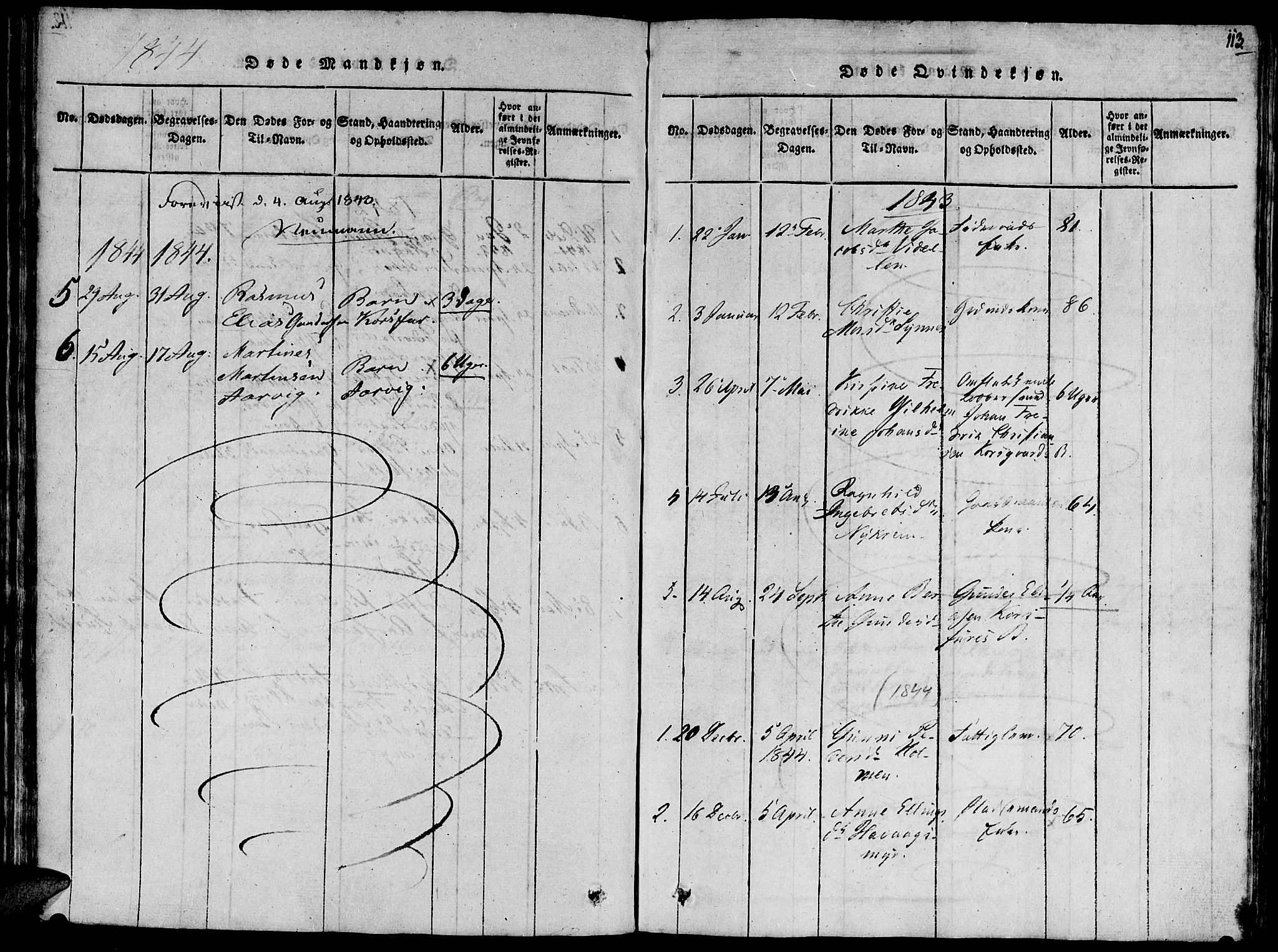 Ministerialprotokoller, klokkerbøker og fødselsregistre - Møre og Romsdal, SAT/A-1454/504/L0054: Parish register (official) no. 504A01, 1816-1861, p. 113