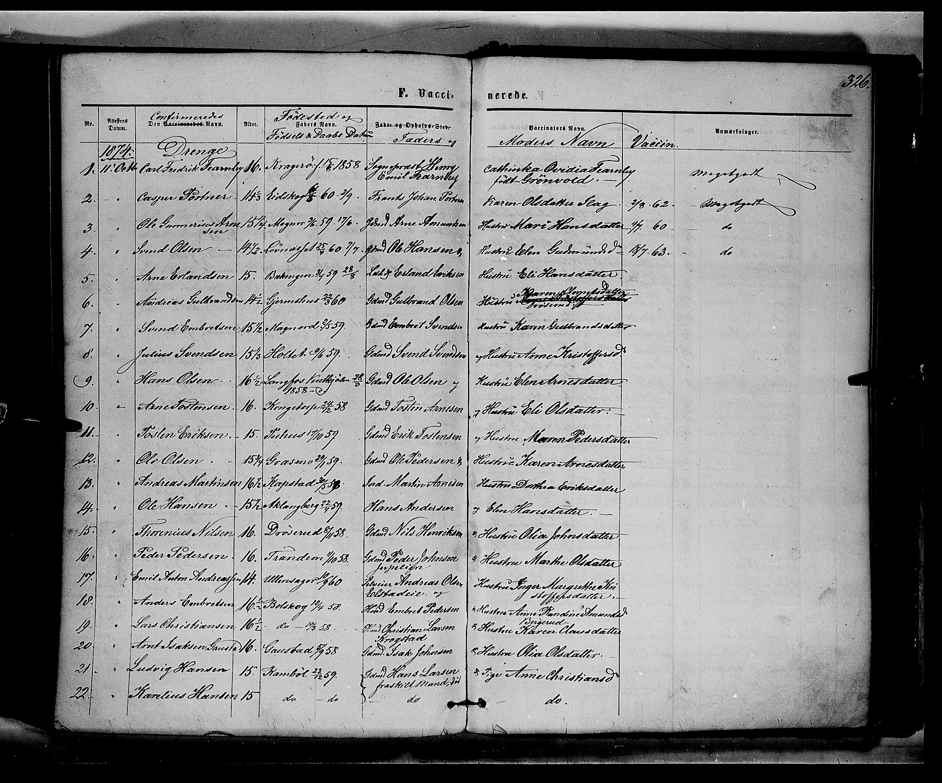 Eidskog prestekontor, AV/SAH-PREST-026/H/Ha/Haa/L0002: Parish register (official) no. 2, 1867-1878, p. 326