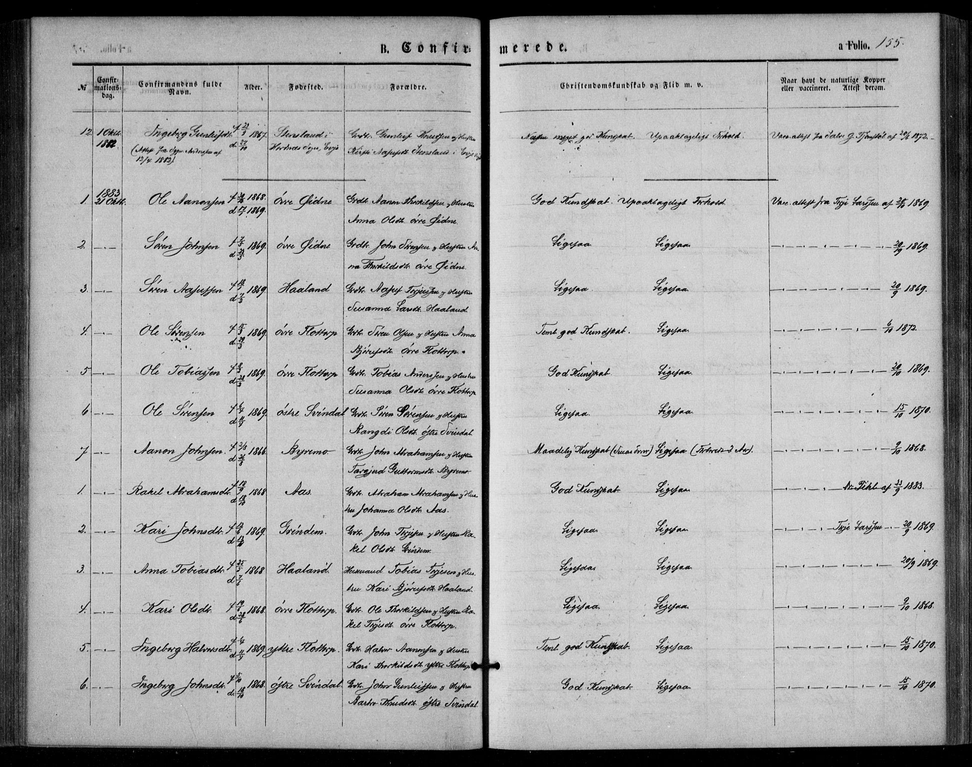 Bjelland sokneprestkontor, AV/SAK-1111-0005/F/Fa/Fac/L0002: Parish register (official) no. A 2, 1866-1887, p. 155