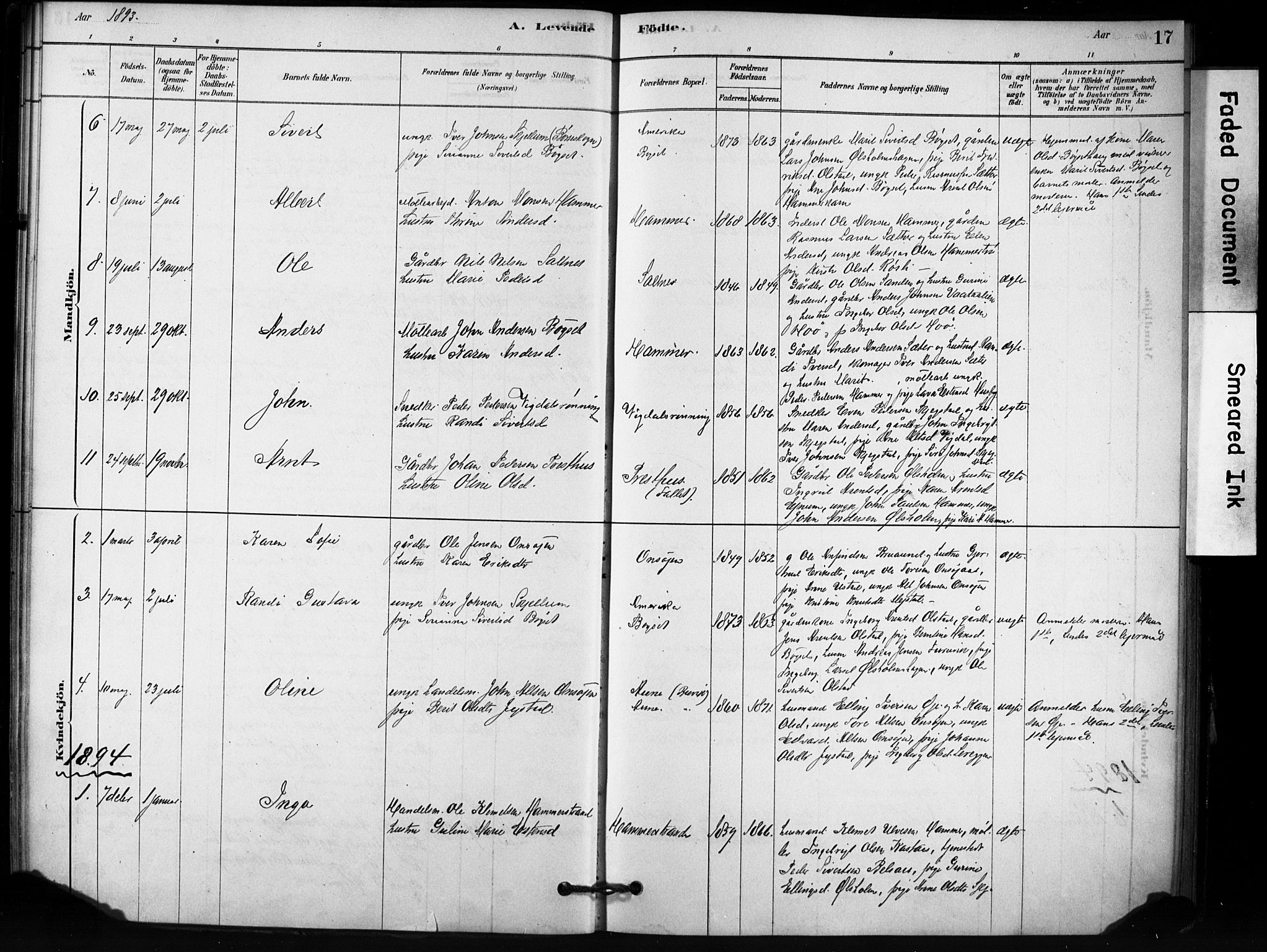 Ministerialprotokoller, klokkerbøker og fødselsregistre - Sør-Trøndelag, SAT/A-1456/666/L0786: Parish register (official) no. 666A04, 1878-1895, p. 17