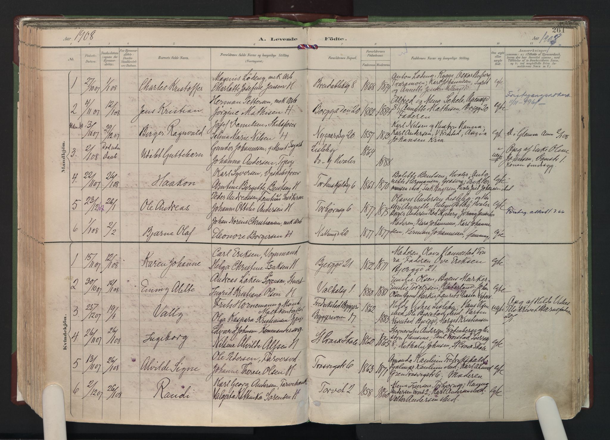 Fredrikstad domkirkes prestekontor Kirkebøker, AV/SAO-A-10906/F/Fa/L0006: Parish register (official) no. 6, 1894-1914, p. 261