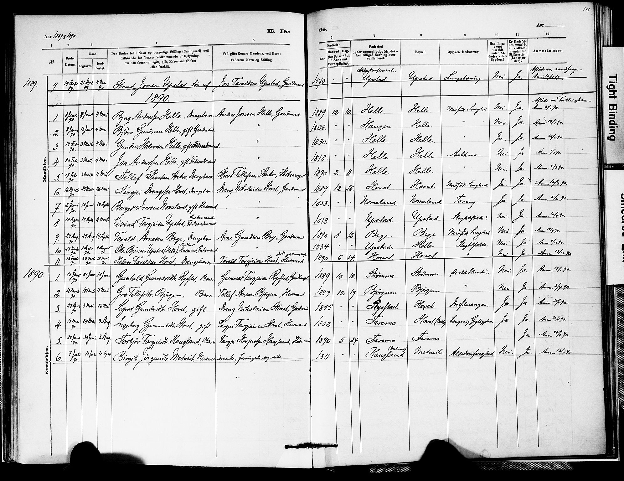 Valle sokneprestkontor, SAK/1111-0044/F/Fa/Fab/L0001: Parish register (official) no. A 1, 1882-1910, p. 141