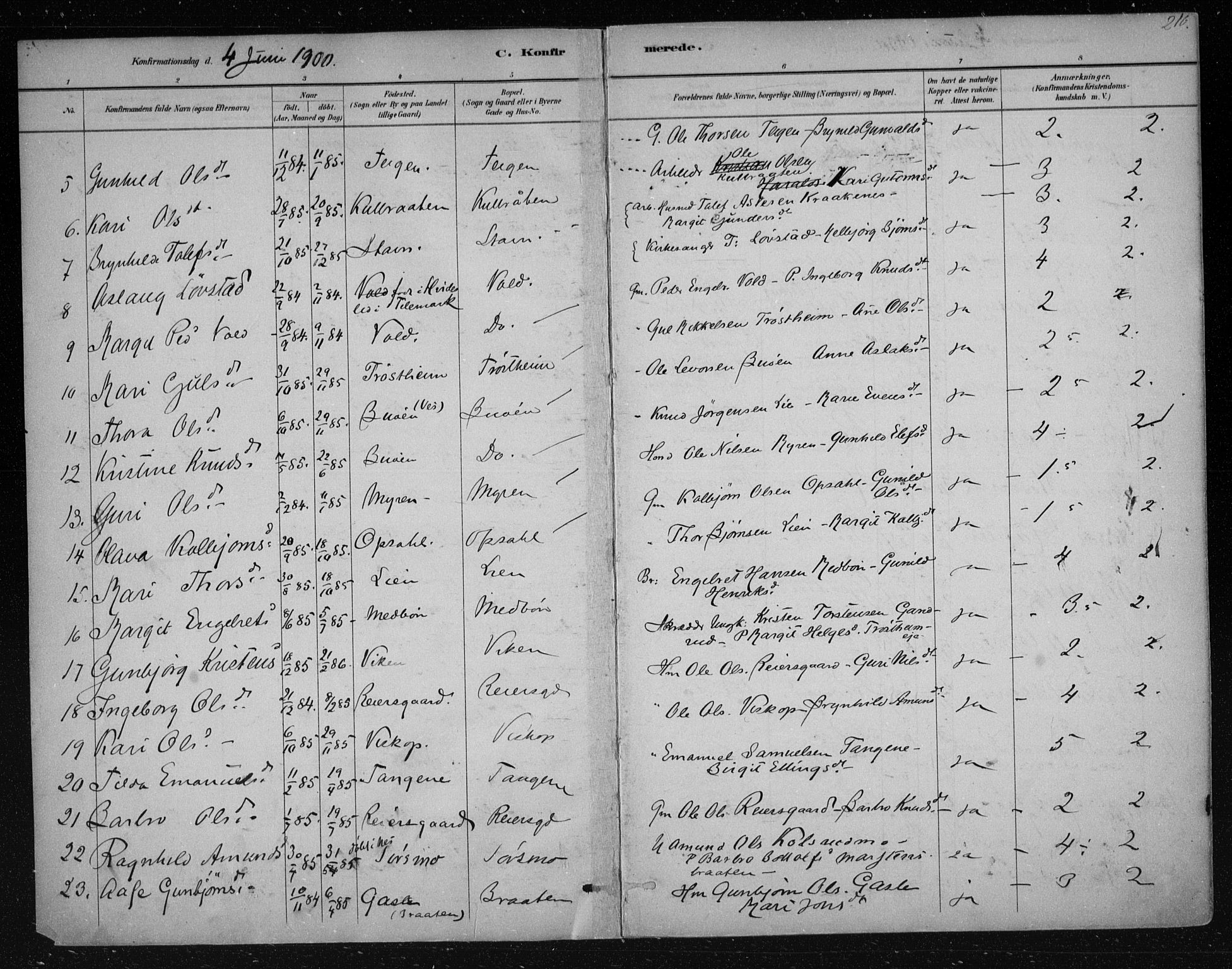 Nes kirkebøker, AV/SAKO-A-236/F/Fa/L0012: Parish register (official) no. 12, 1881-1917, p. 210