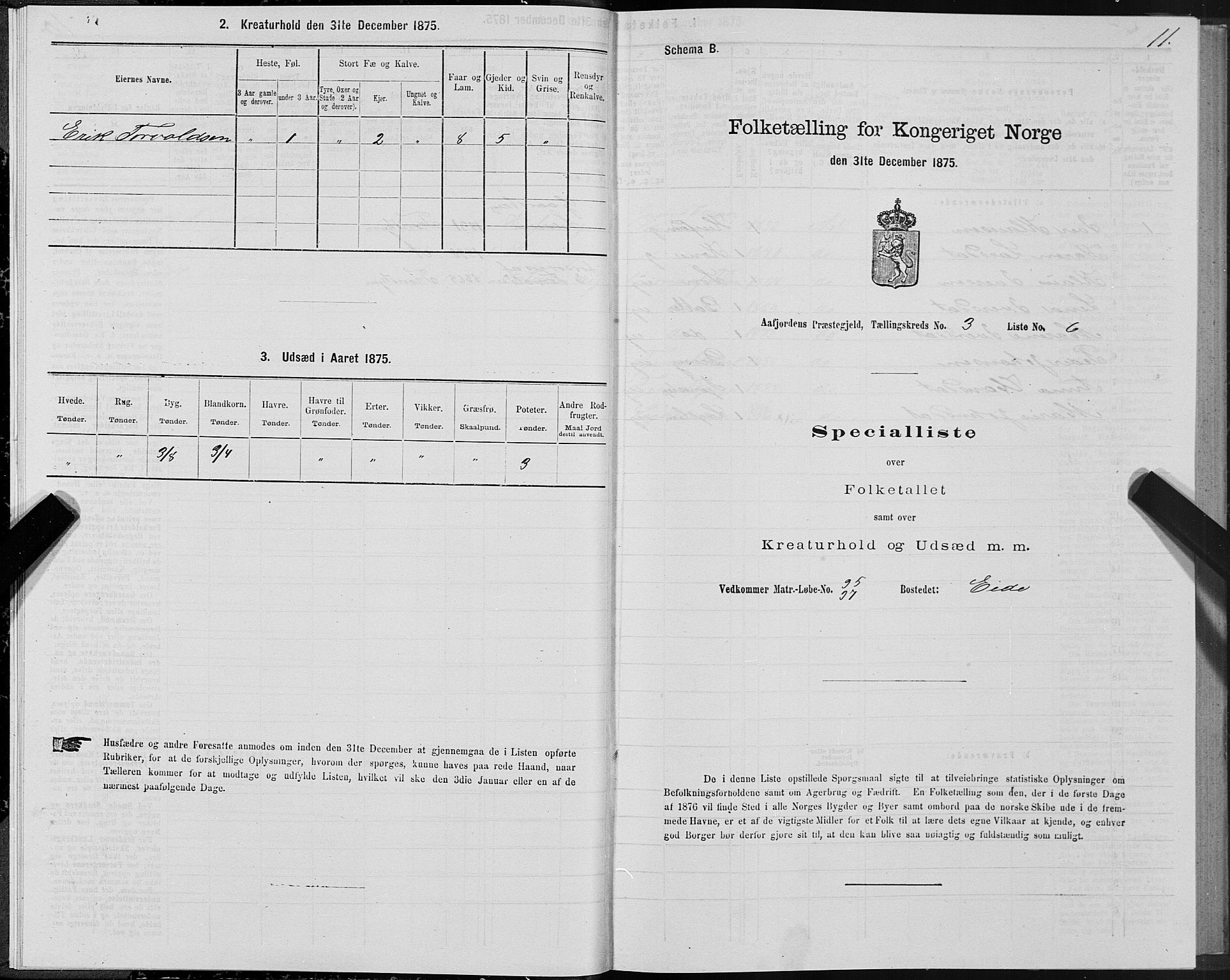 SAT, 1875 census for 1630P Aafjorden, 1875, p. 2011