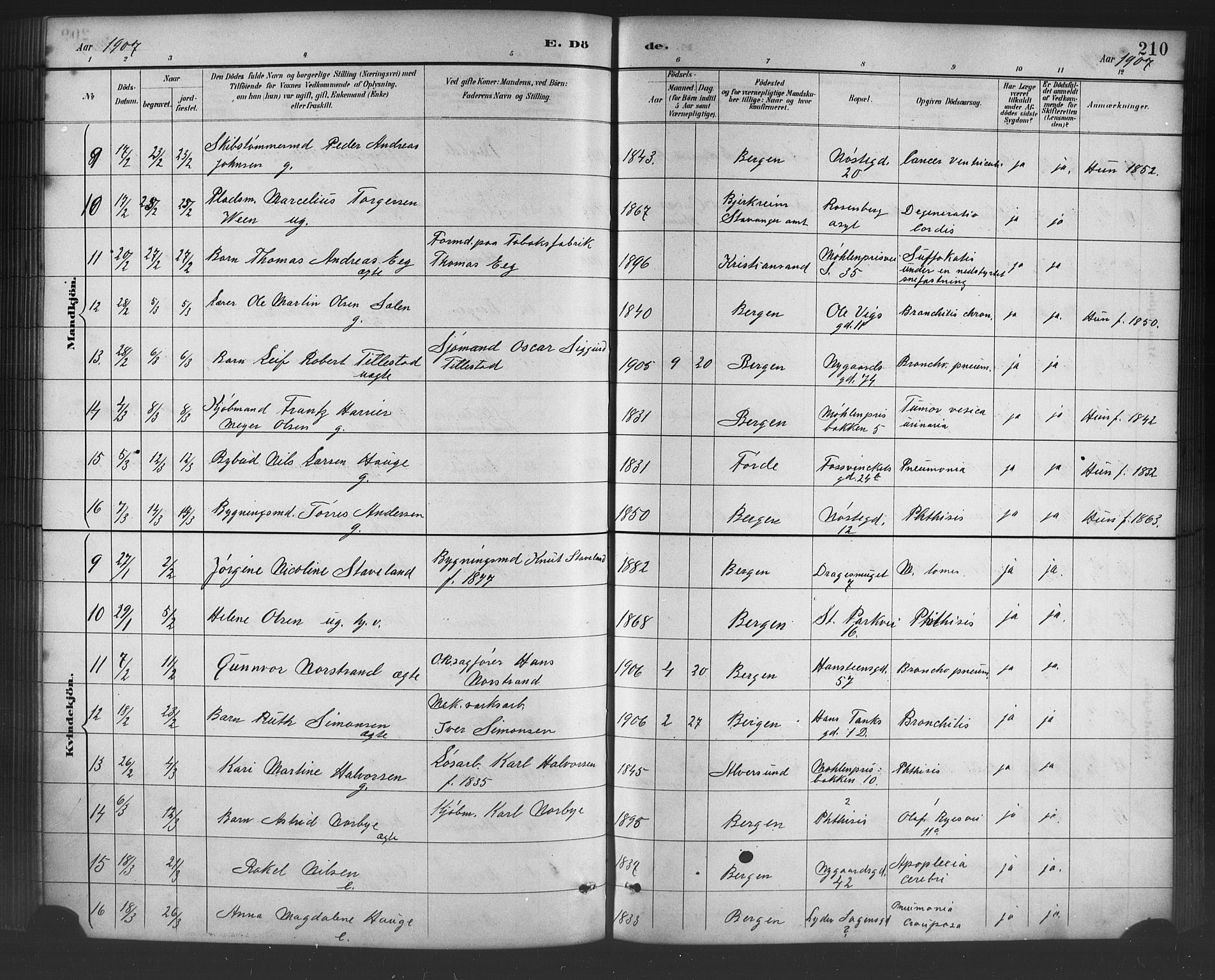 Johanneskirken sokneprestembete, SAB/A-76001/H/Hab: Parish register (copy) no. D 1, 1885-1915, p. 210