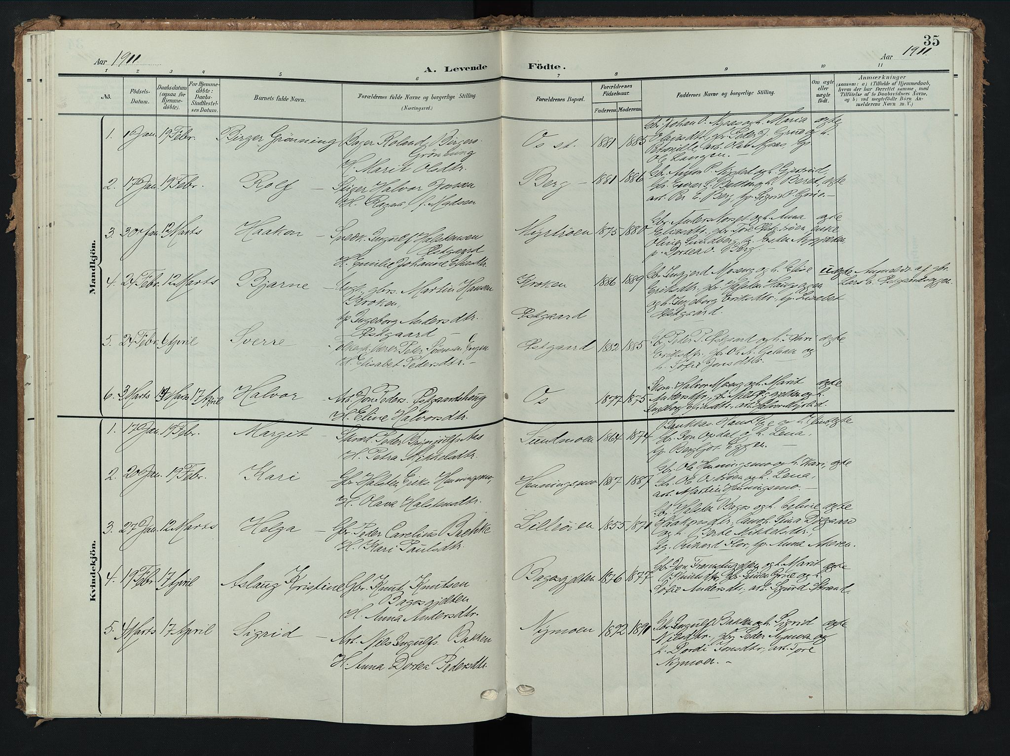 Tolga prestekontor, AV/SAH-PREST-062/K/L0009: Parish register (official) no. 9, 1903-1928, p. 35