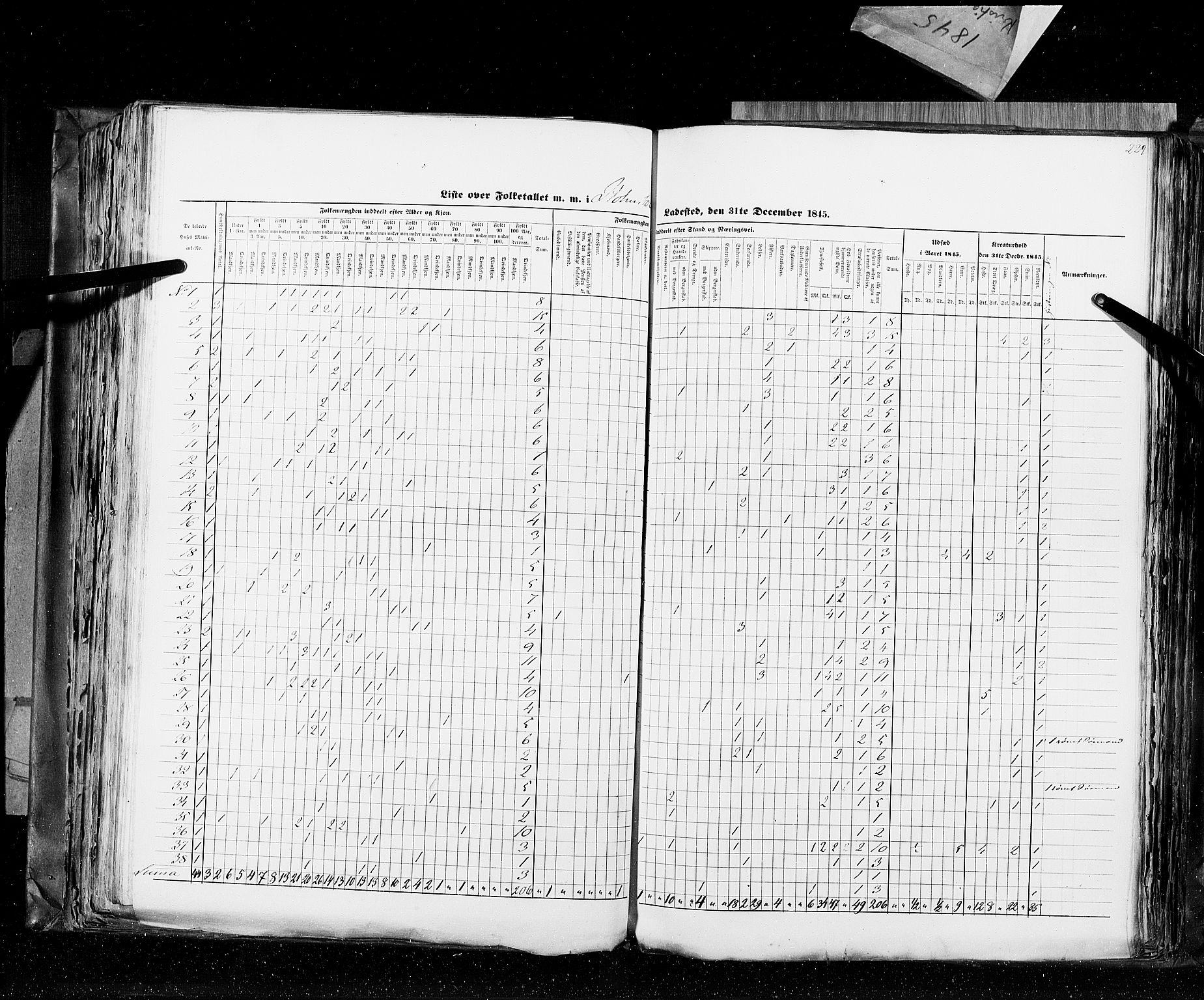 RA, Census 1845, vol. 10: Cities, 1845, p. 222