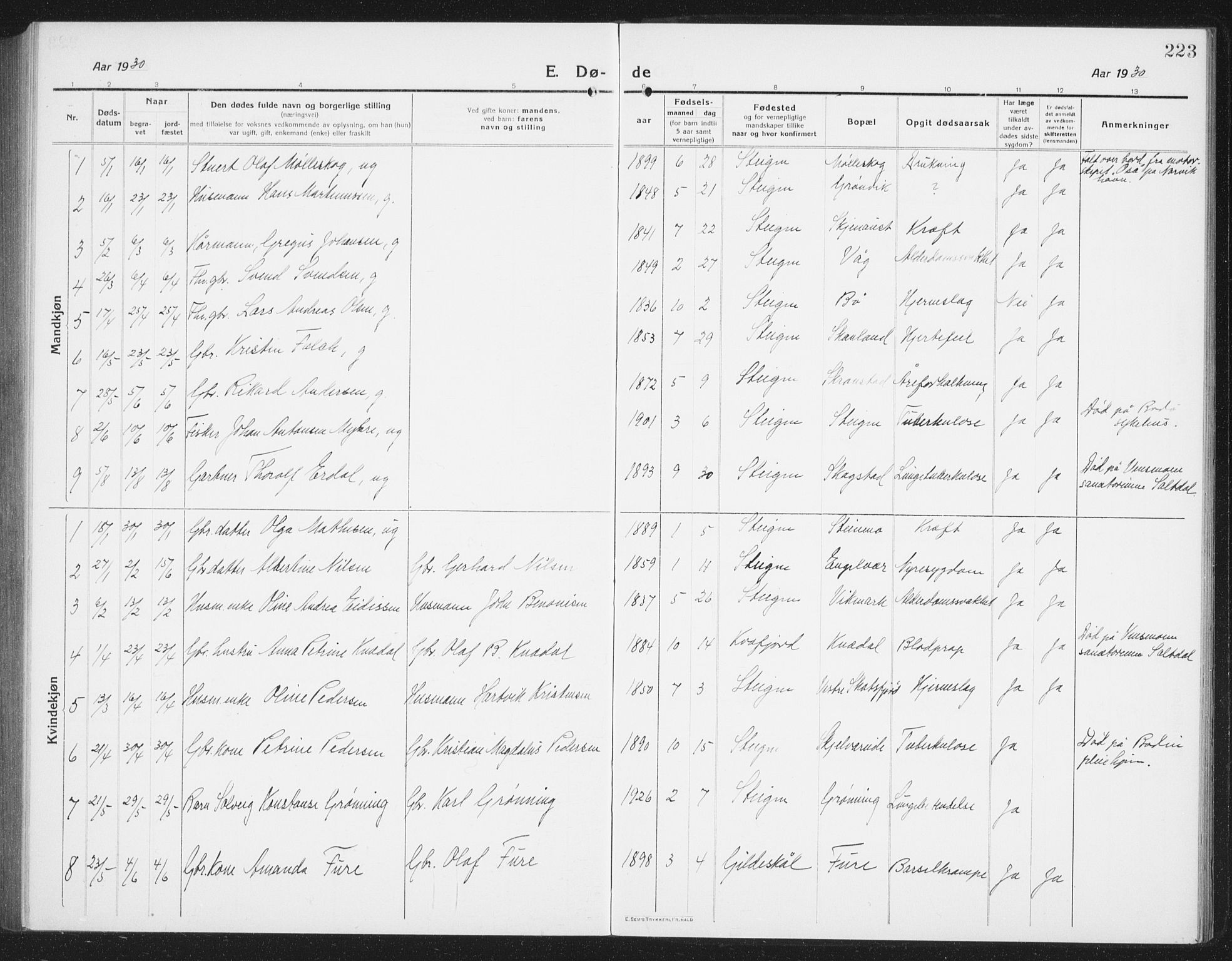 Ministerialprotokoller, klokkerbøker og fødselsregistre - Nordland, AV/SAT-A-1459/855/L0817: Parish register (copy) no. 855C06, 1917-1934, p. 223