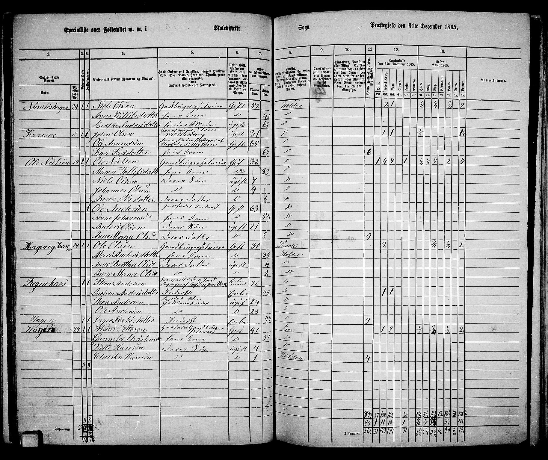 RA, 1865 census for Holla, 1865, p. 84