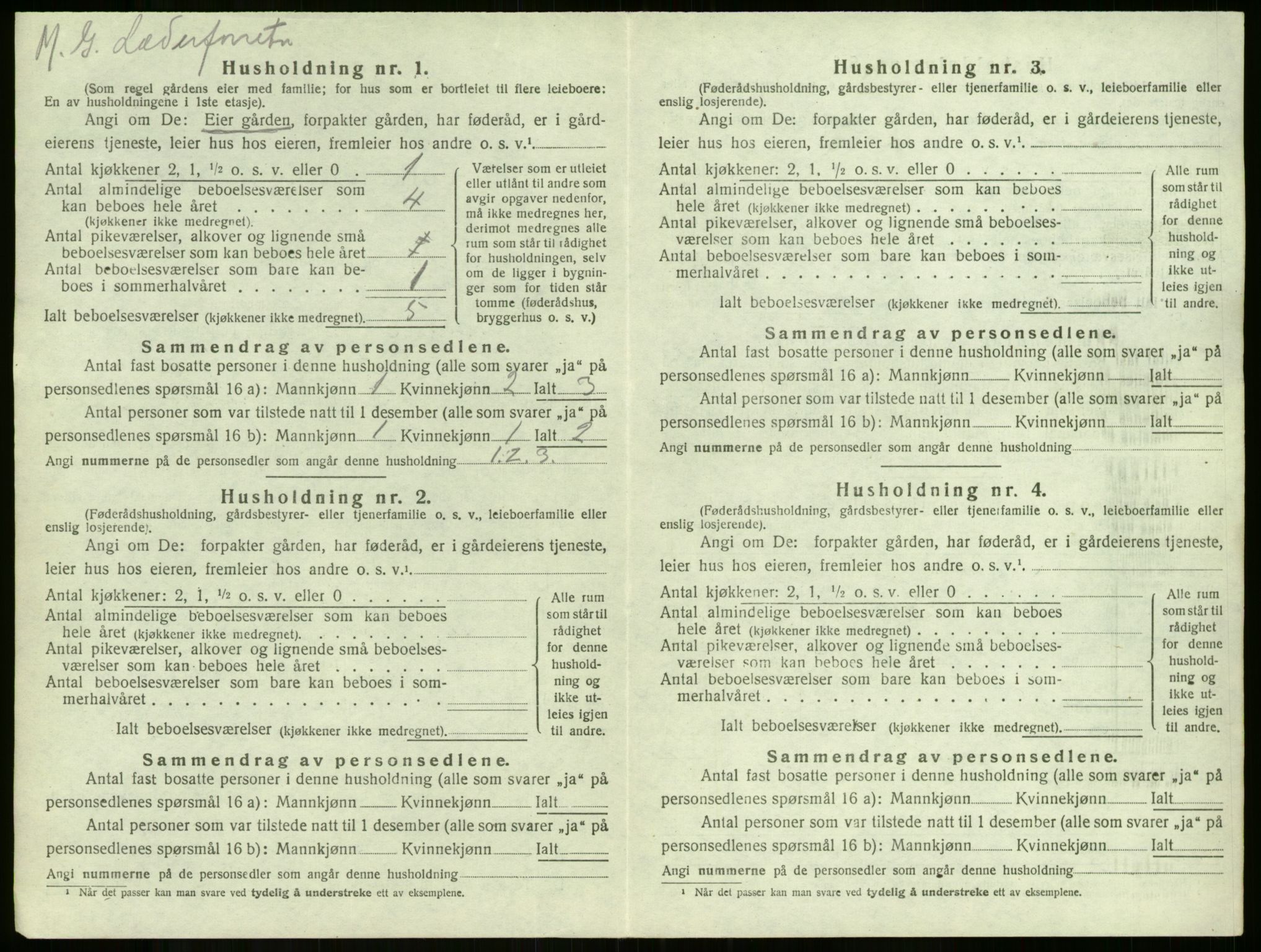 SAKO, 1920 census for Borre, 1920, p. 477