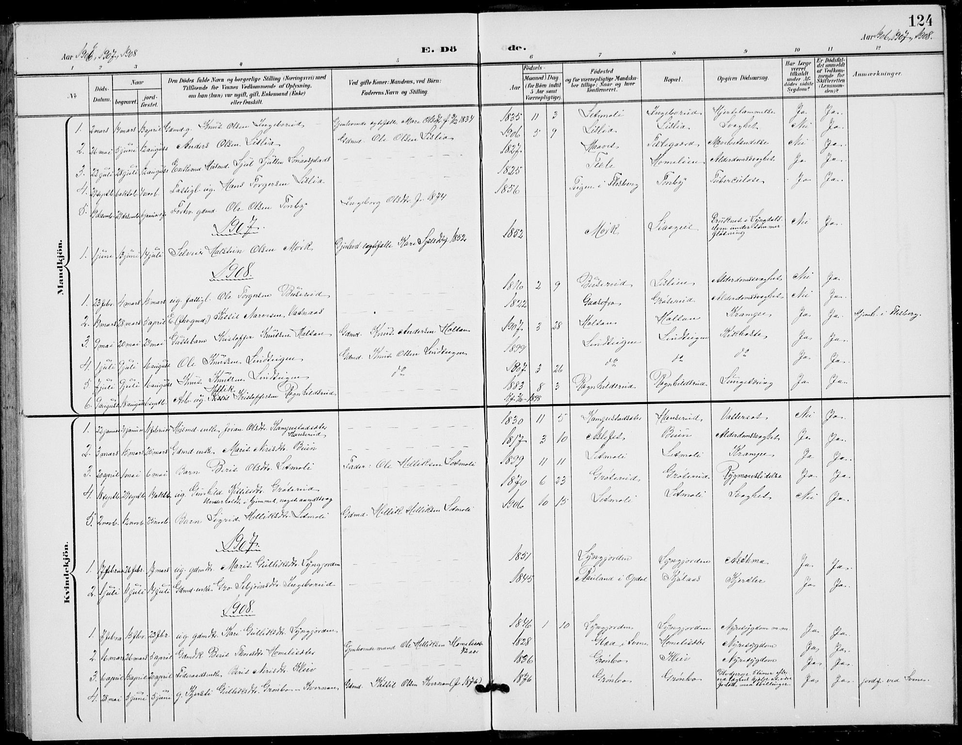 Flesberg kirkebøker, SAKO/A-18/G/Ga/L0005: Parish register (copy) no. I 5, 1899-1908, p. 124