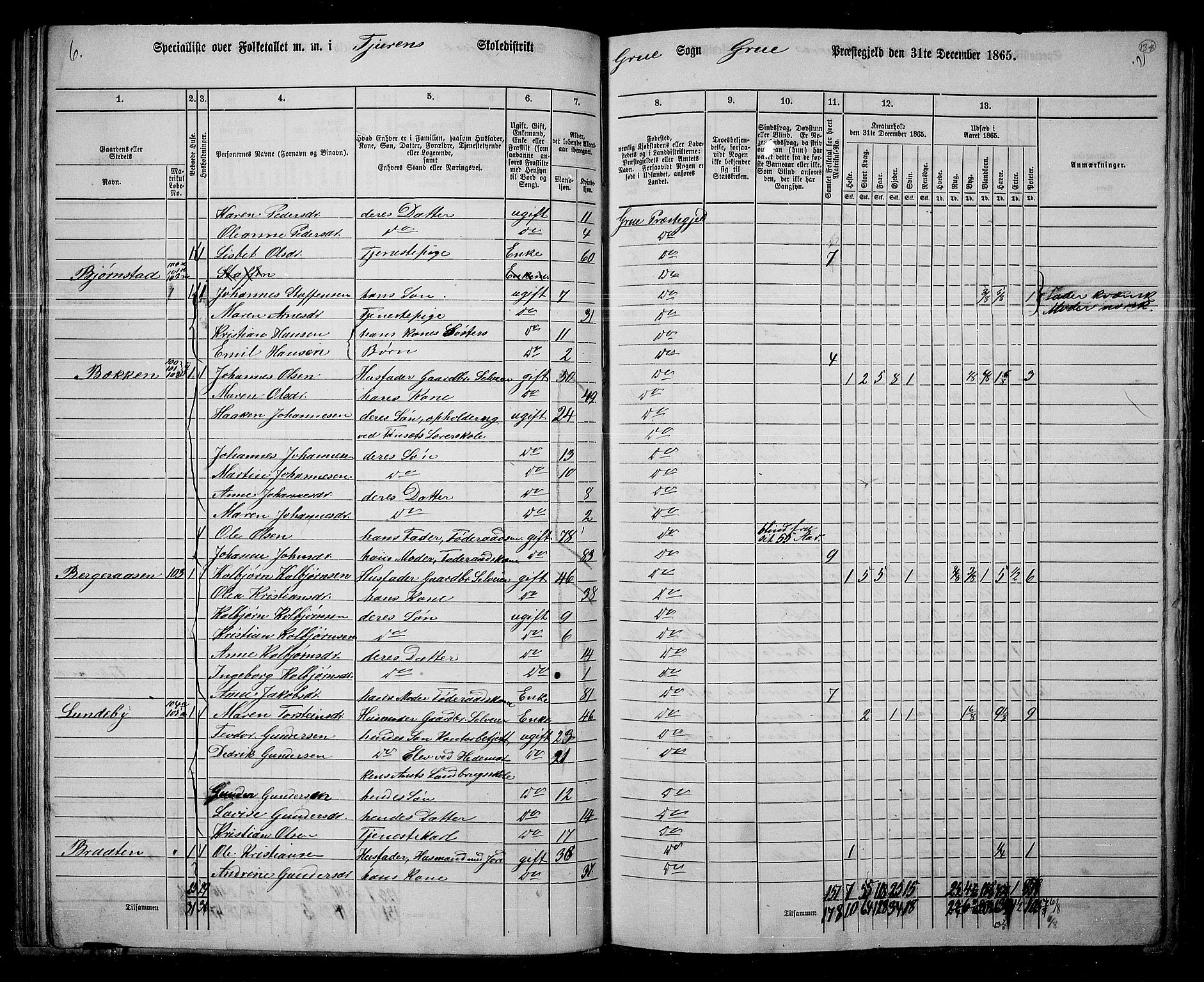 RA, 1865 census for Grue, 1865, p. 113