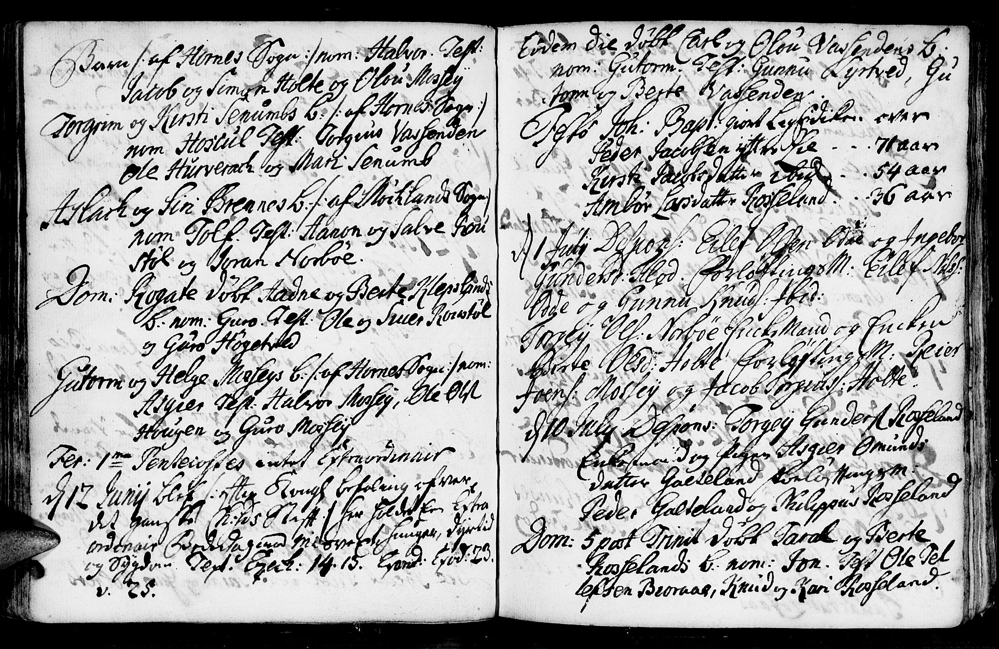 Evje sokneprestkontor, AV/SAK-1111-0008/F/Fa/Faa/L0001: Parish register (official) no. A 1, 1705-1760, p. 106