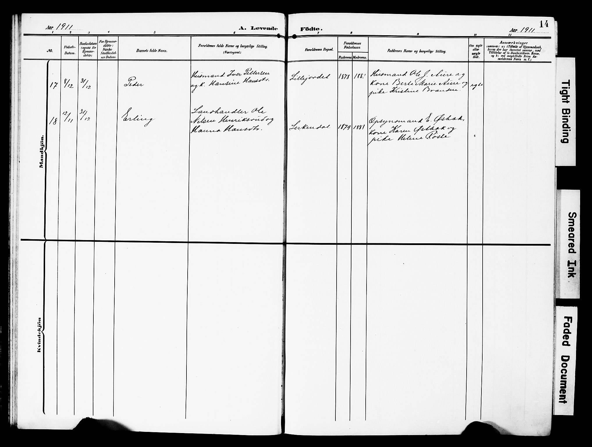 Nordre Land prestekontor, SAH/PREST-124/H/Ha/Hab/L0001: Parish register (copy) no. 1, 1908-1931, p. 14