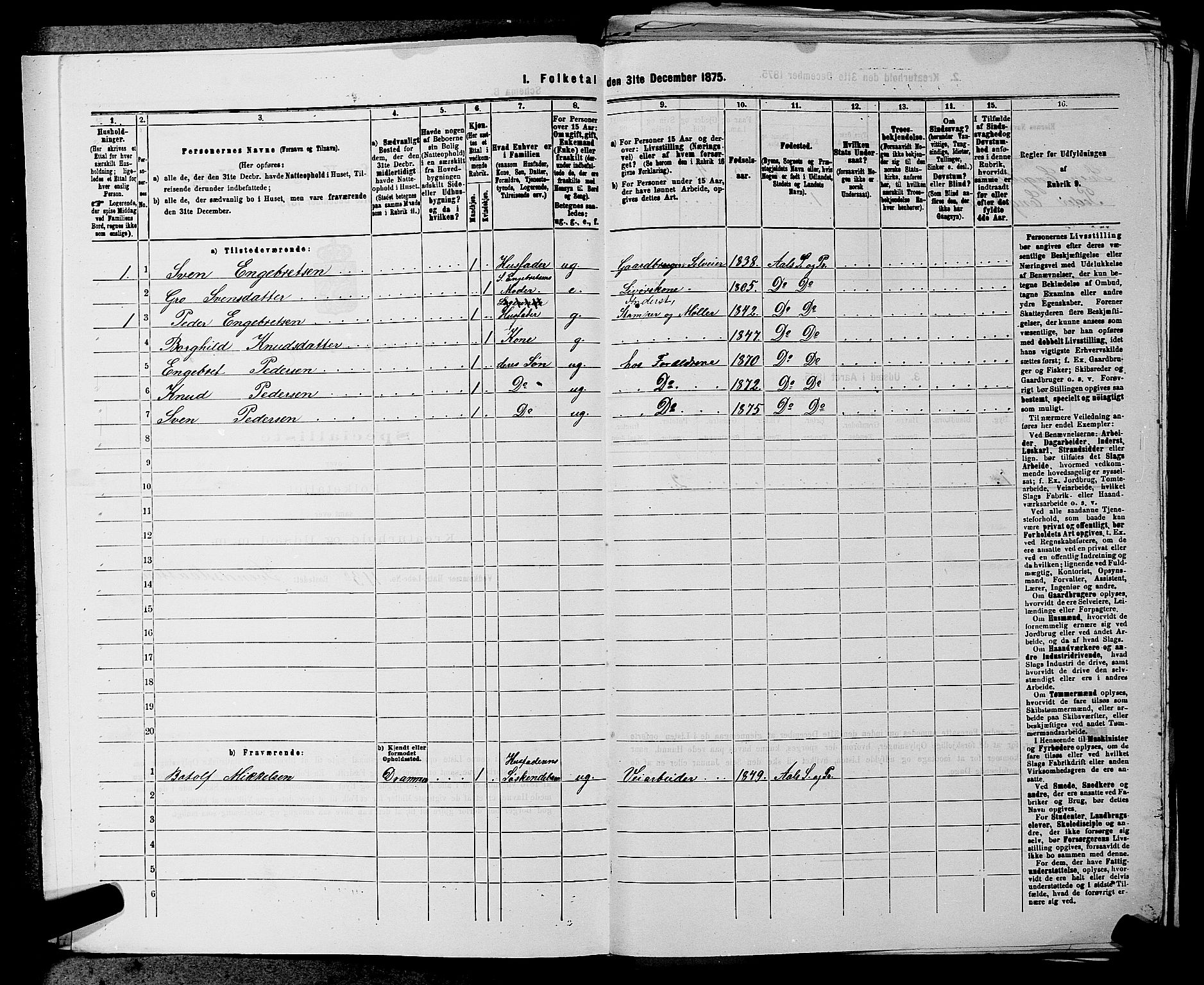 SAKO, 1875 census for 0619P Ål, 1875, p. 1096