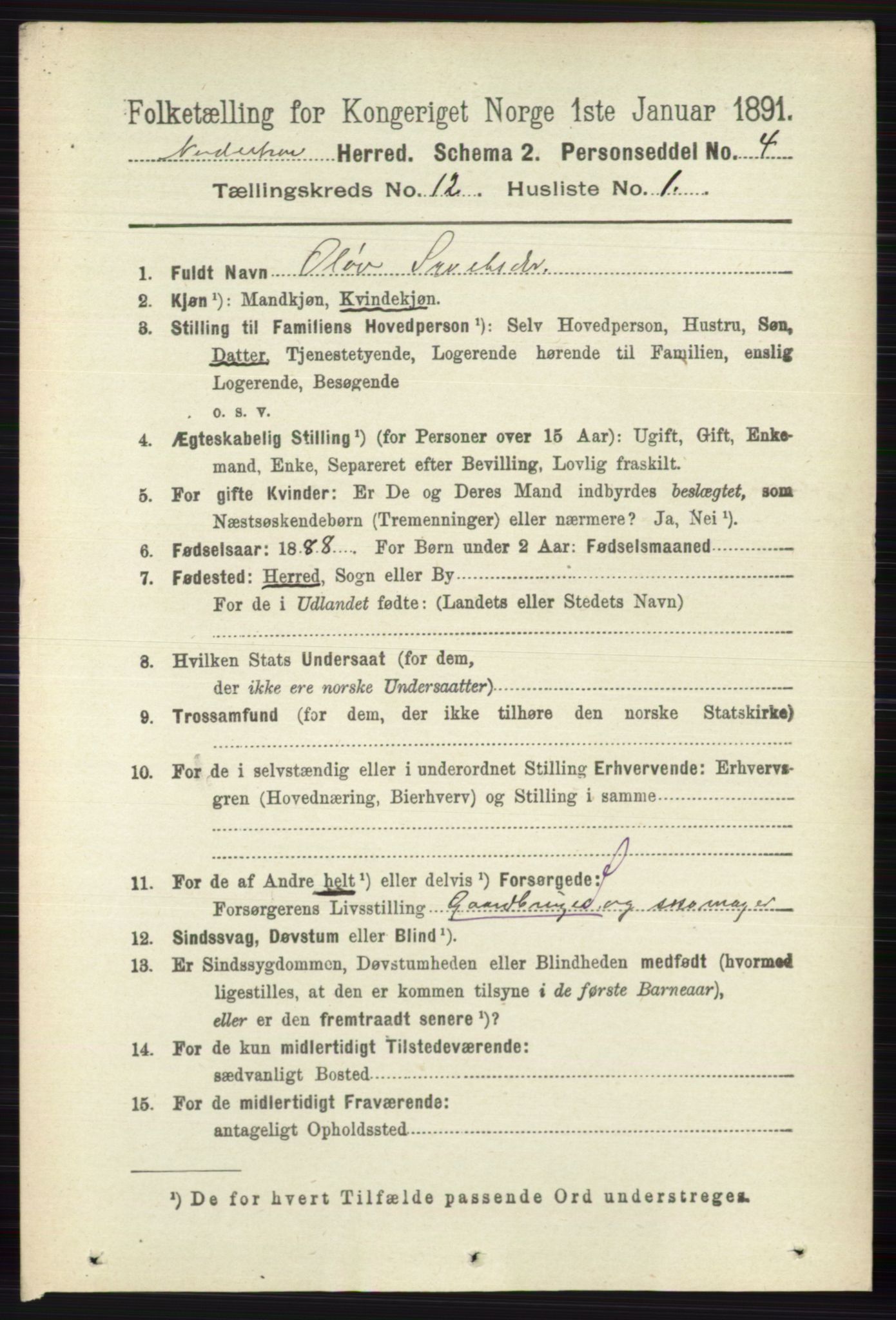 RA, 1891 census for 0613 Norderhov, 1891, p. 8541