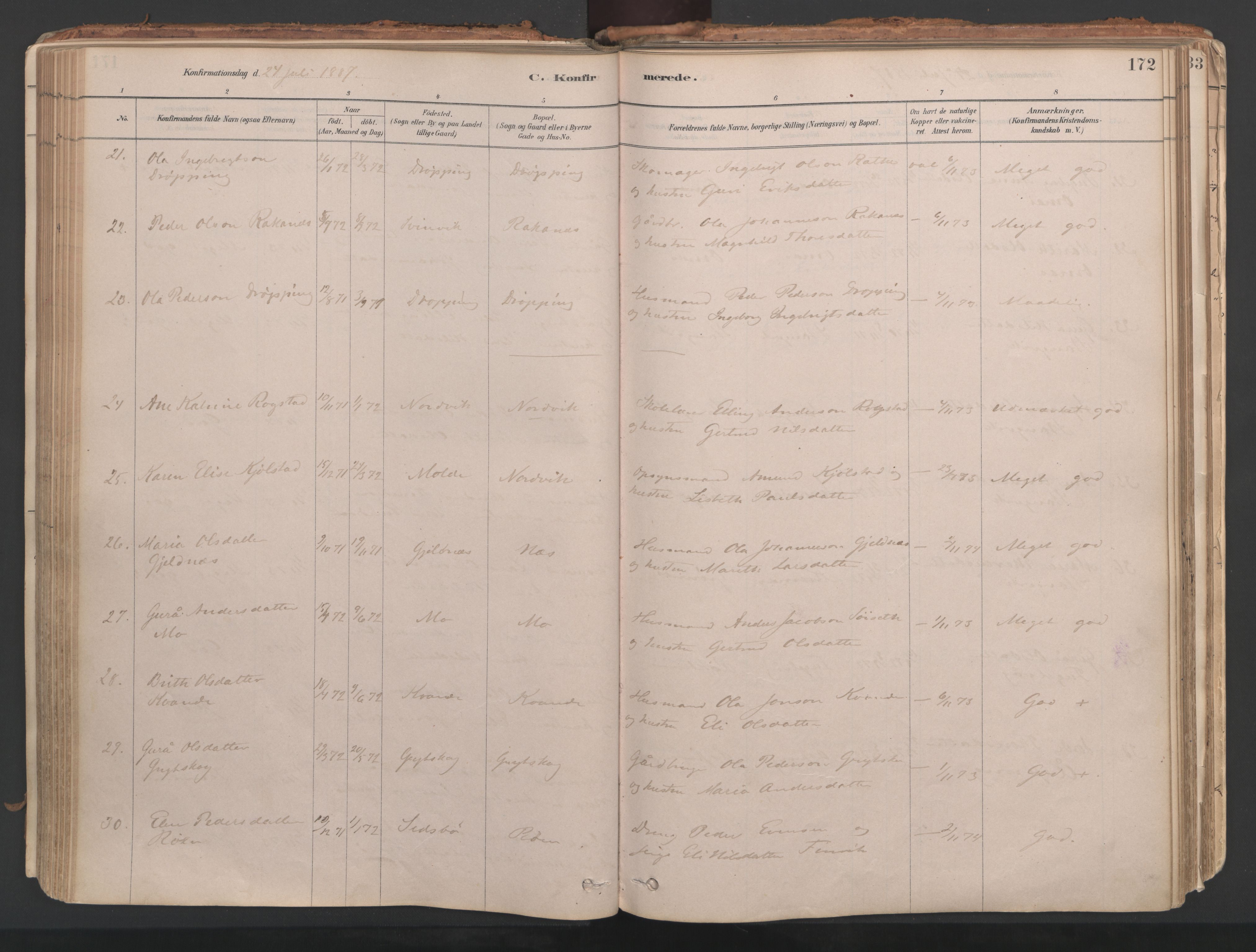 Ministerialprotokoller, klokkerbøker og fødselsregistre - Møre og Romsdal, AV/SAT-A-1454/592/L1029: Parish register (official) no. 592A07, 1879-1902, p. 172