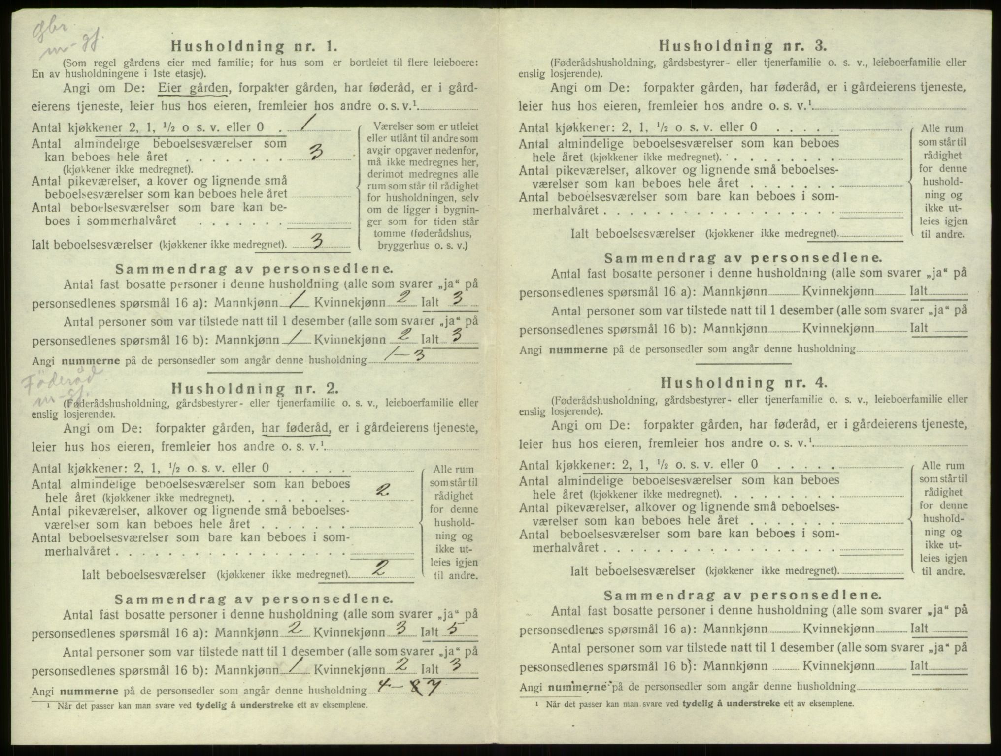 SAB, 1920 census for Stryn, 1920, p. 308