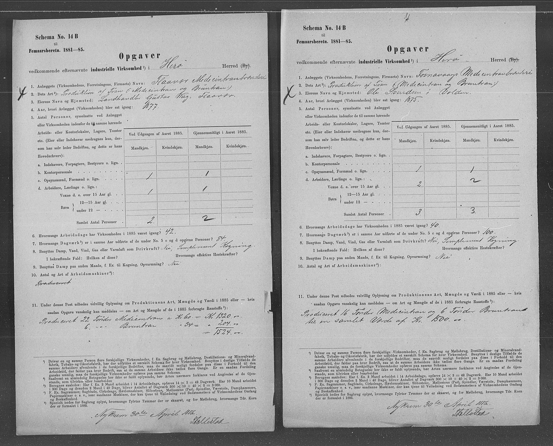 Statistisk sentralbyrå, Næringsøkonomiske emner, Generelt - Amtmennenes femårsberetninger, AV/RA-S-2233/F/Fa/L0066: --, 1885, p. 2