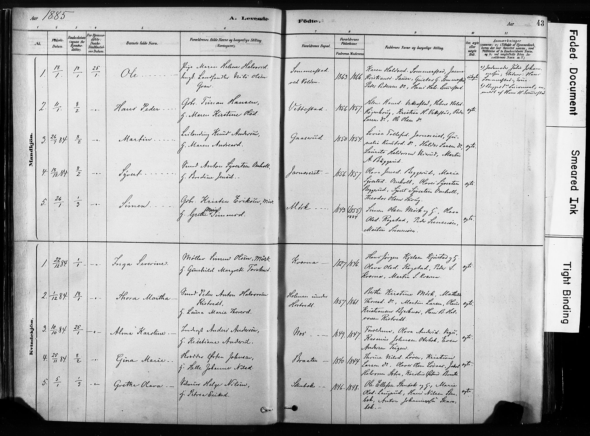 Sandsvær kirkebøker, AV/SAKO-A-244/F/Fb/L0001: Parish register (official) no. II 1, 1878-1906, p. 43