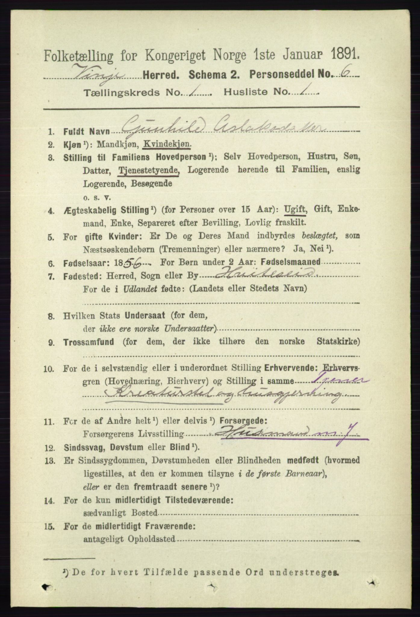 RA, 1891 census for 0834 Vinje, 1891, p. 66