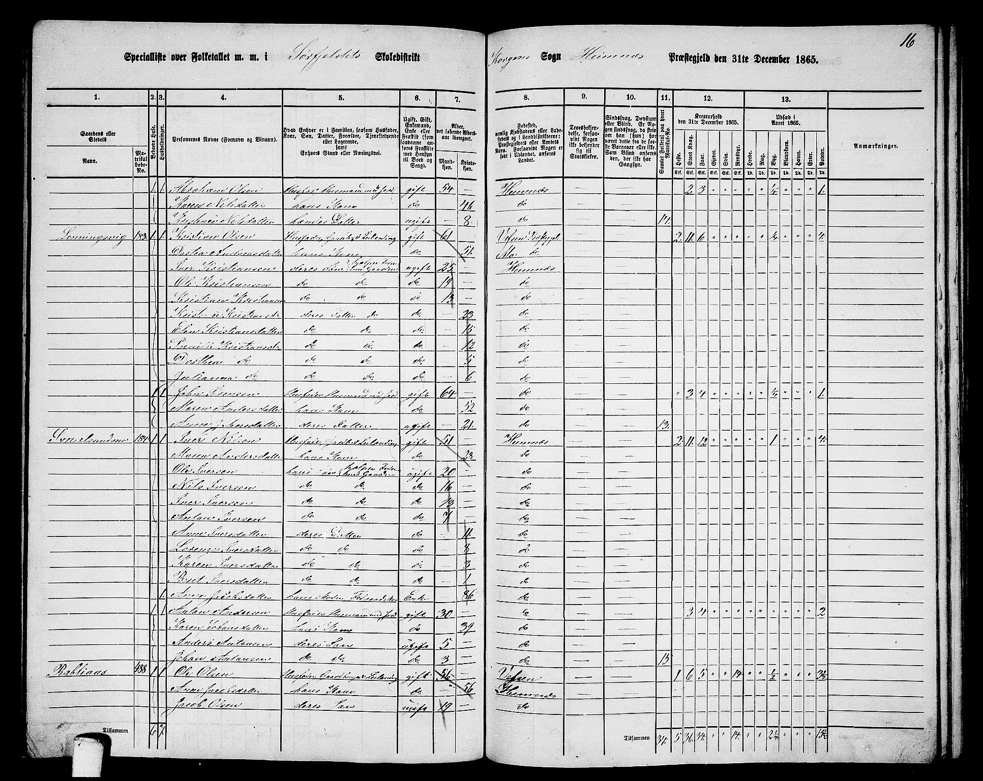 RA, 1865 census for Hemnes, 1865, p. 146