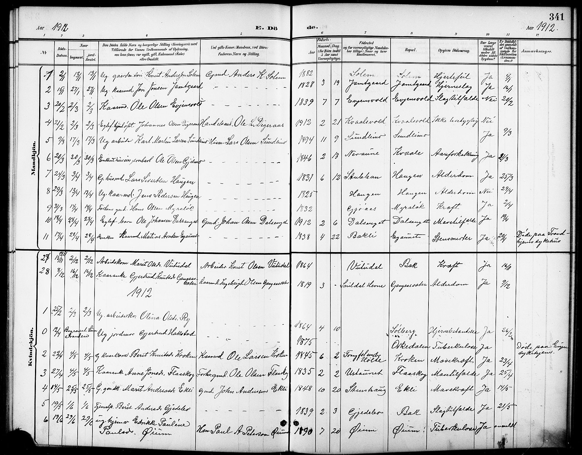 Ministerialprotokoller, klokkerbøker og fødselsregistre - Sør-Trøndelag, SAT/A-1456/668/L0819: Parish register (copy) no. 668C08, 1899-1912, p. 341