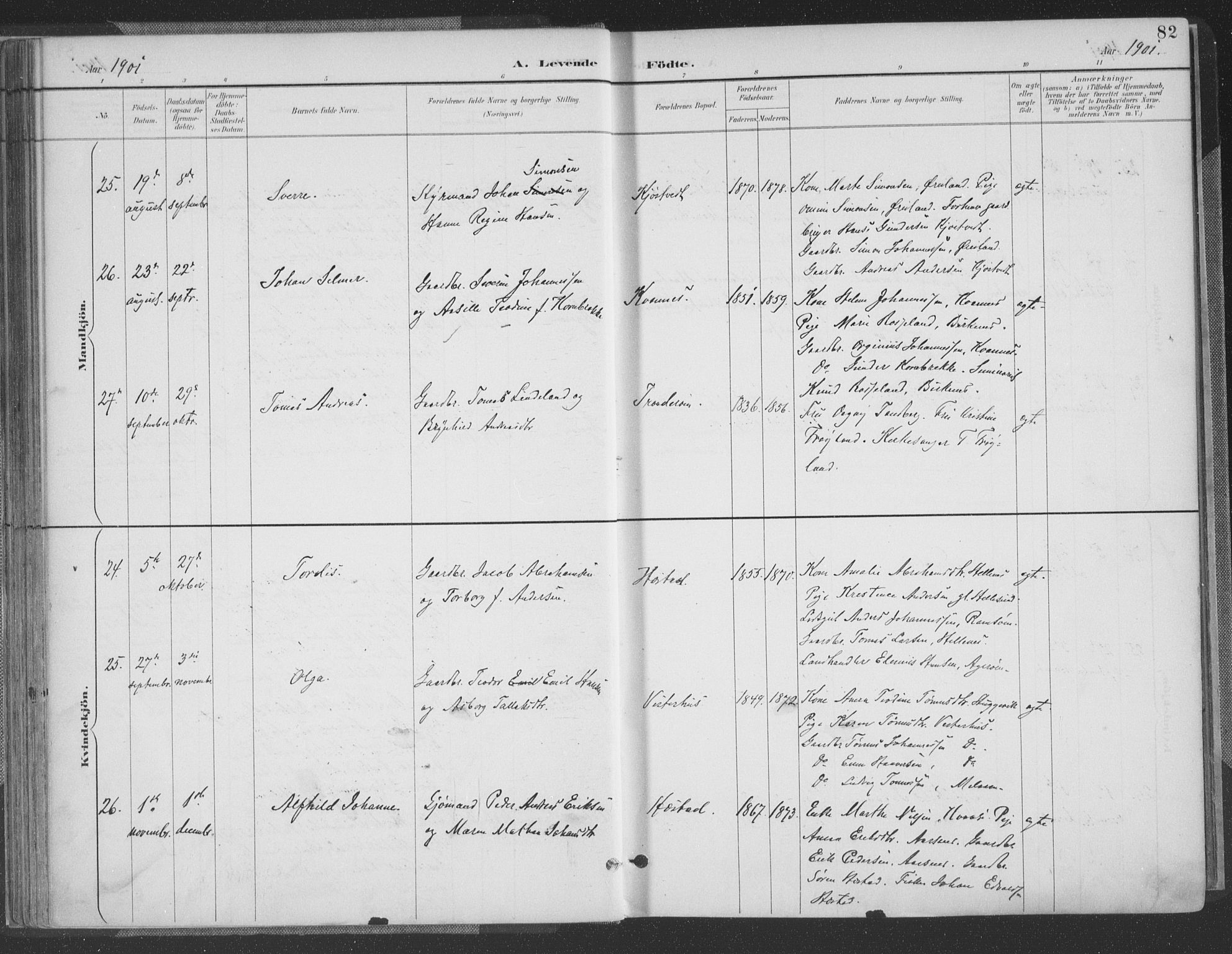 Høvåg sokneprestkontor, AV/SAK-1111-0025/F/Fa/L0006: Parish register (official) no. A 6, 1894-1923, p. 82