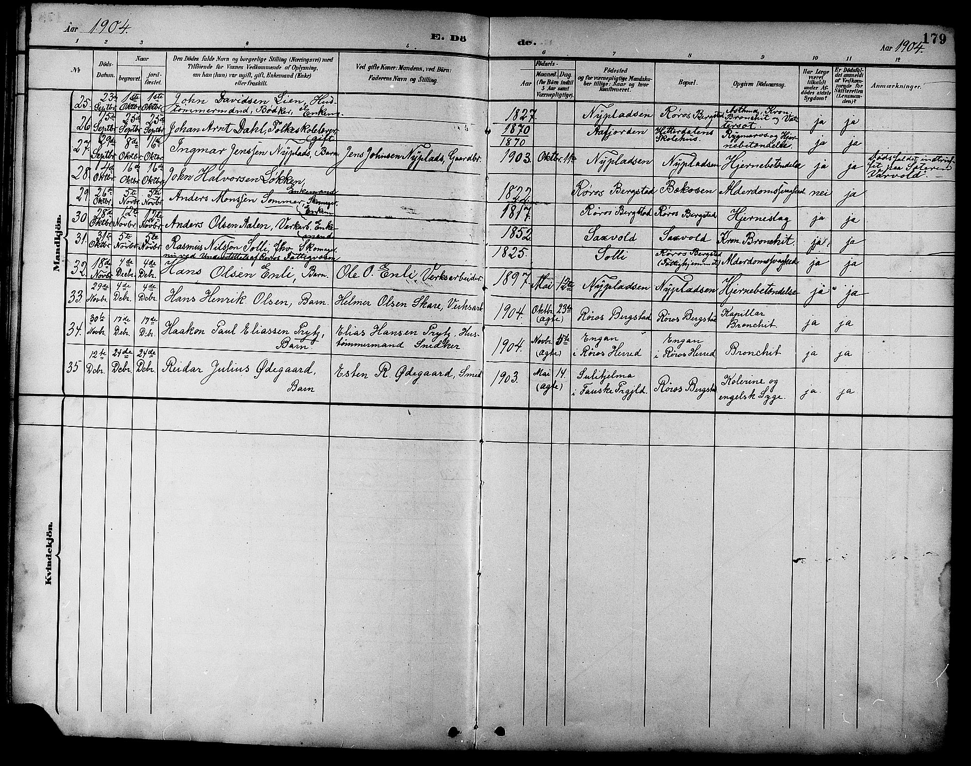 Ministerialprotokoller, klokkerbøker og fødselsregistre - Sør-Trøndelag, AV/SAT-A-1456/681/L0941: Parish register (copy) no. 681C05, 1896-1905, p. 179