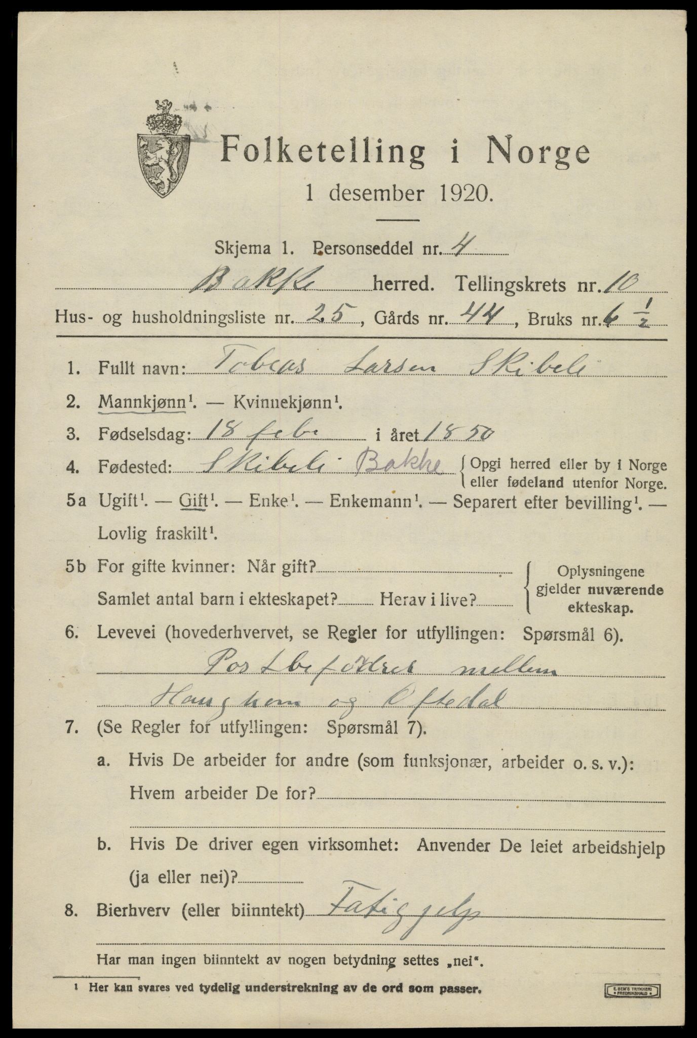 SAK, 1920 census for Bakke, 1920, p. 2820