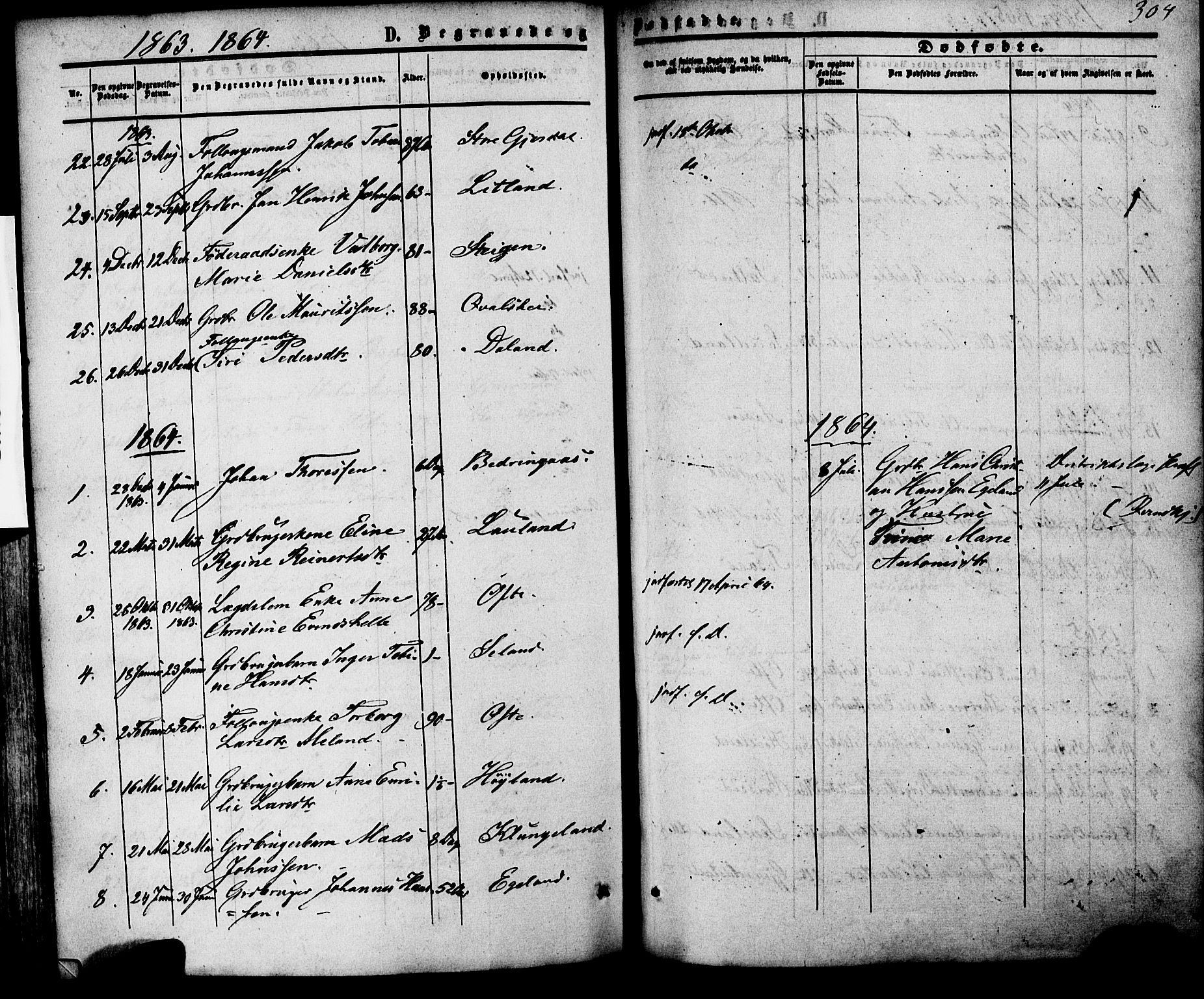 Herad sokneprestkontor, AV/SAK-1111-0018/F/Fa/Faa/L0005: Parish register (official) no. A 5, 1853-1886, p. 304