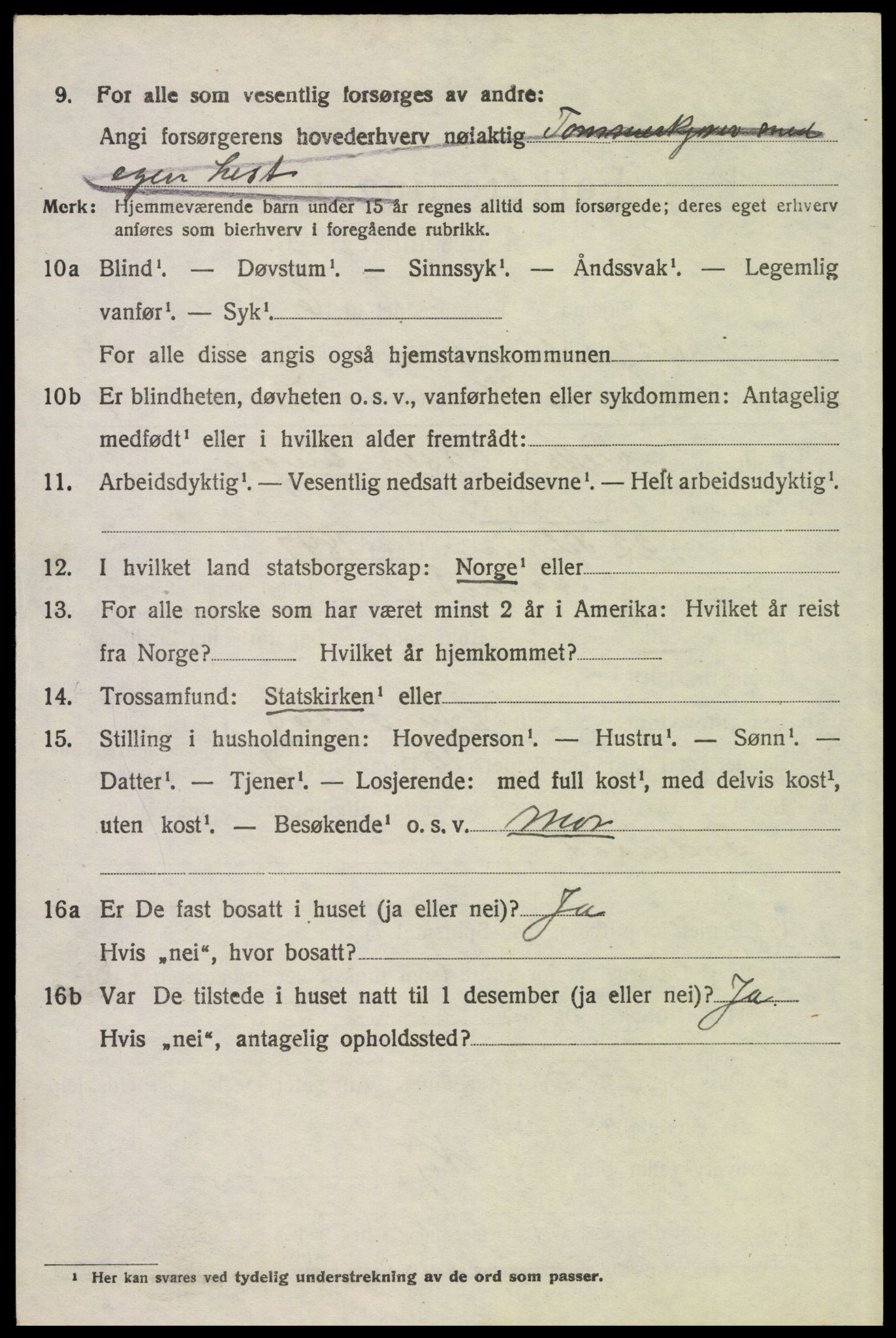 SAH, 1920 census for Trysil, 1920, p. 15690