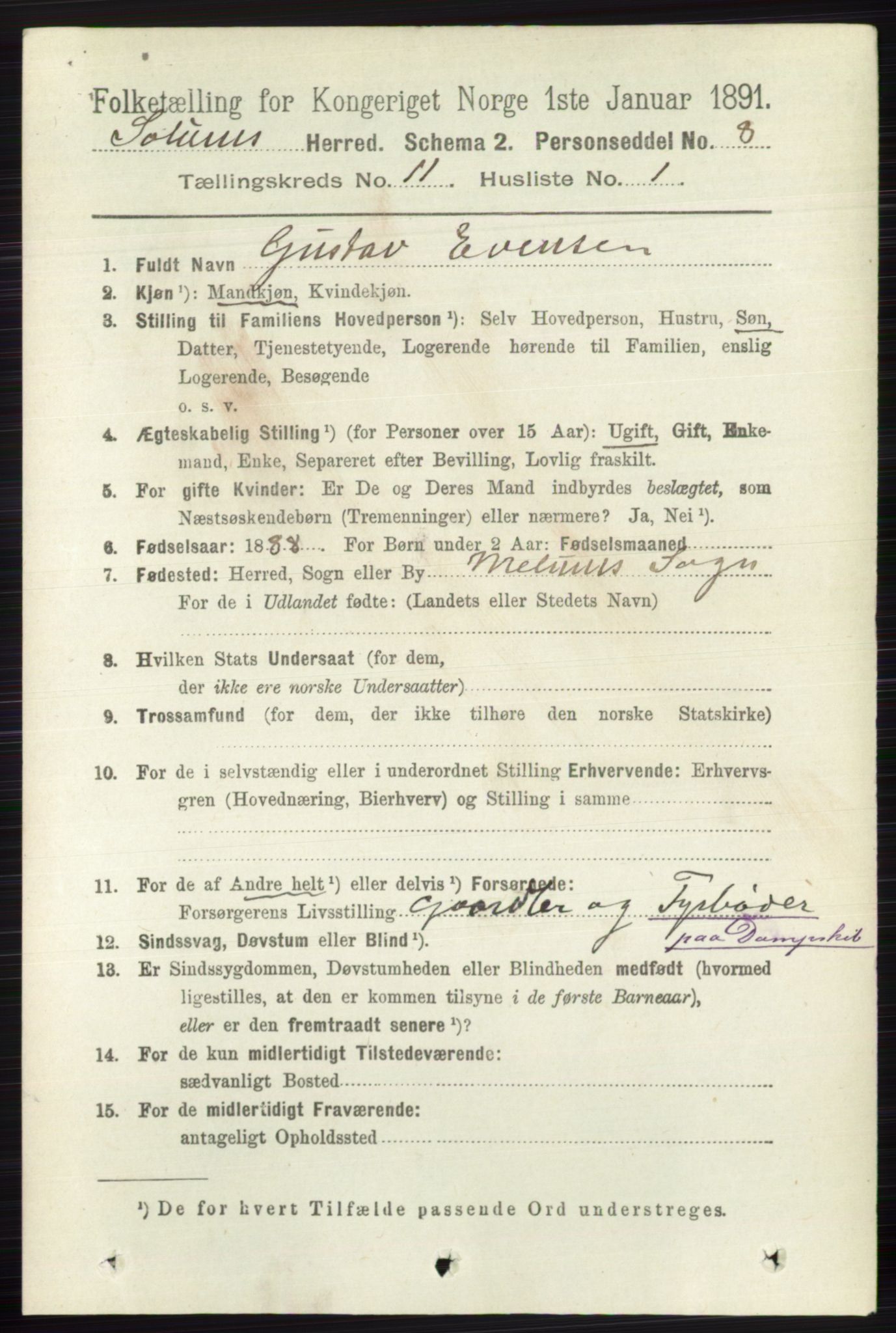 RA, 1891 census for 0818 Solum, 1891, p. 5294