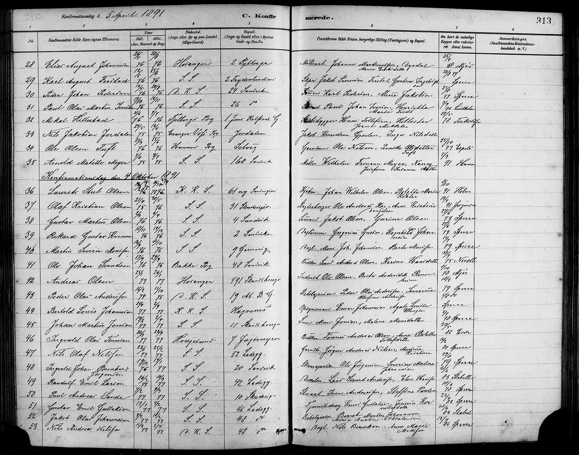 Sandviken Sokneprestembete, SAB/A-77601/H/Hb/L0001: Parish register (copy) no. A 2, 1879-1892, p. 313