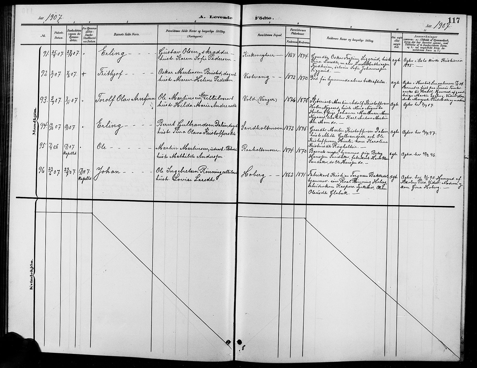 Eidsvoll prestekontor Kirkebøker, AV/SAO-A-10888/G/Ga/L0007: Parish register (copy) no. I 7, 1901-1909, p. 117