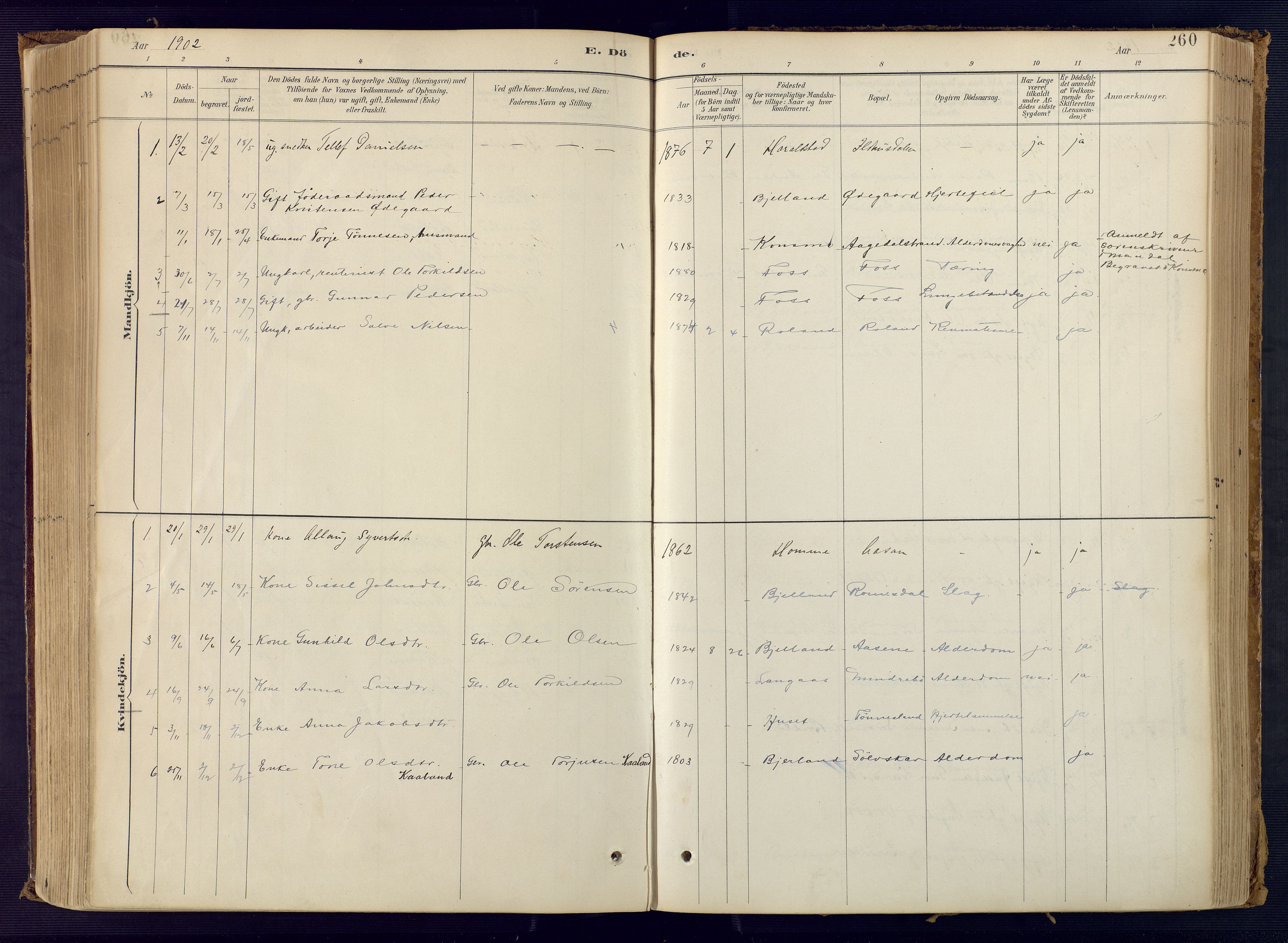 Bjelland sokneprestkontor, SAK/1111-0005/F/Fa/Faa/L0004: Parish register (official) no. A 4, 1887-1923, p. 260